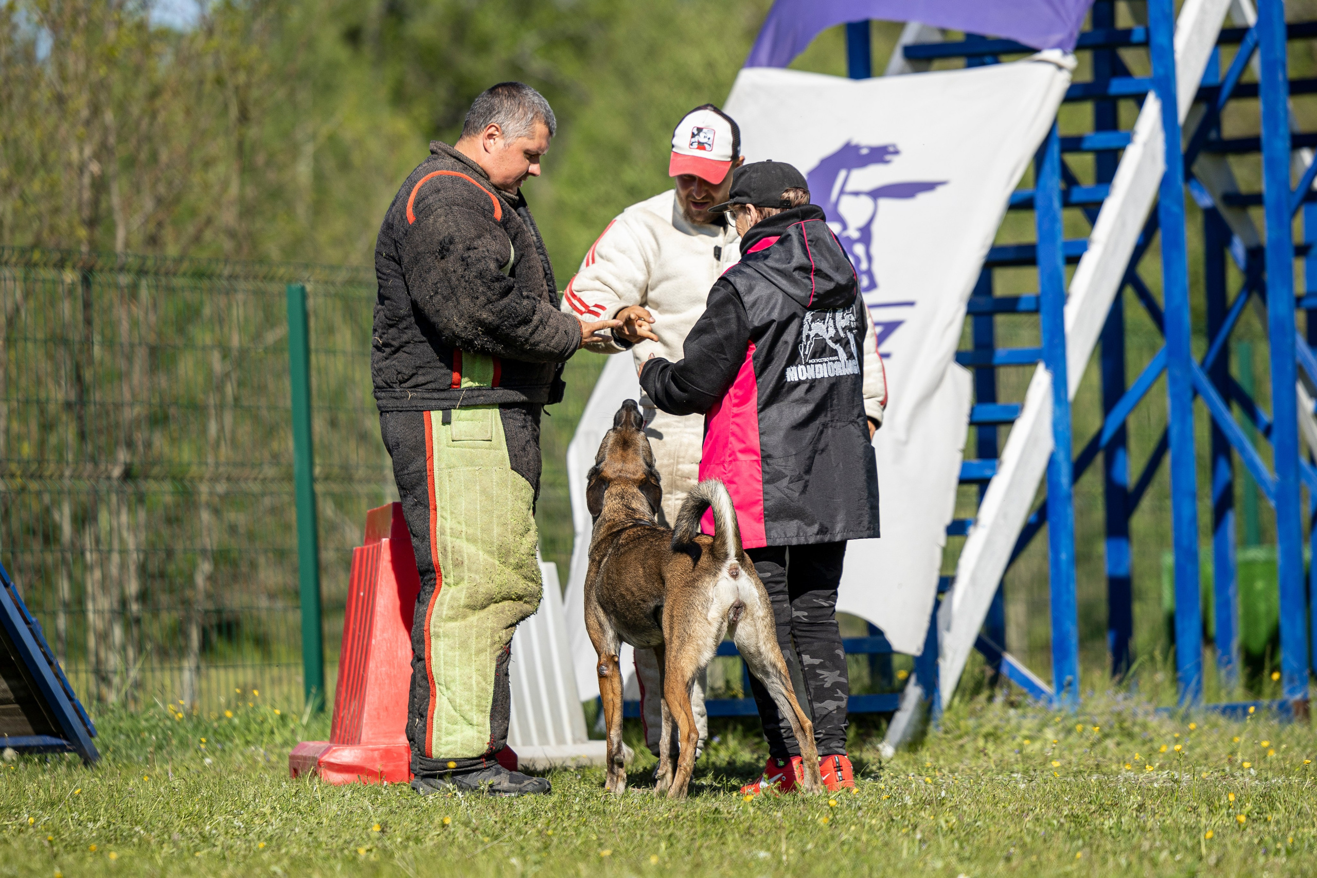 Испытания по мондьорингу в Нижнем Новгороде. Фотограф-анималист Анна Маринич