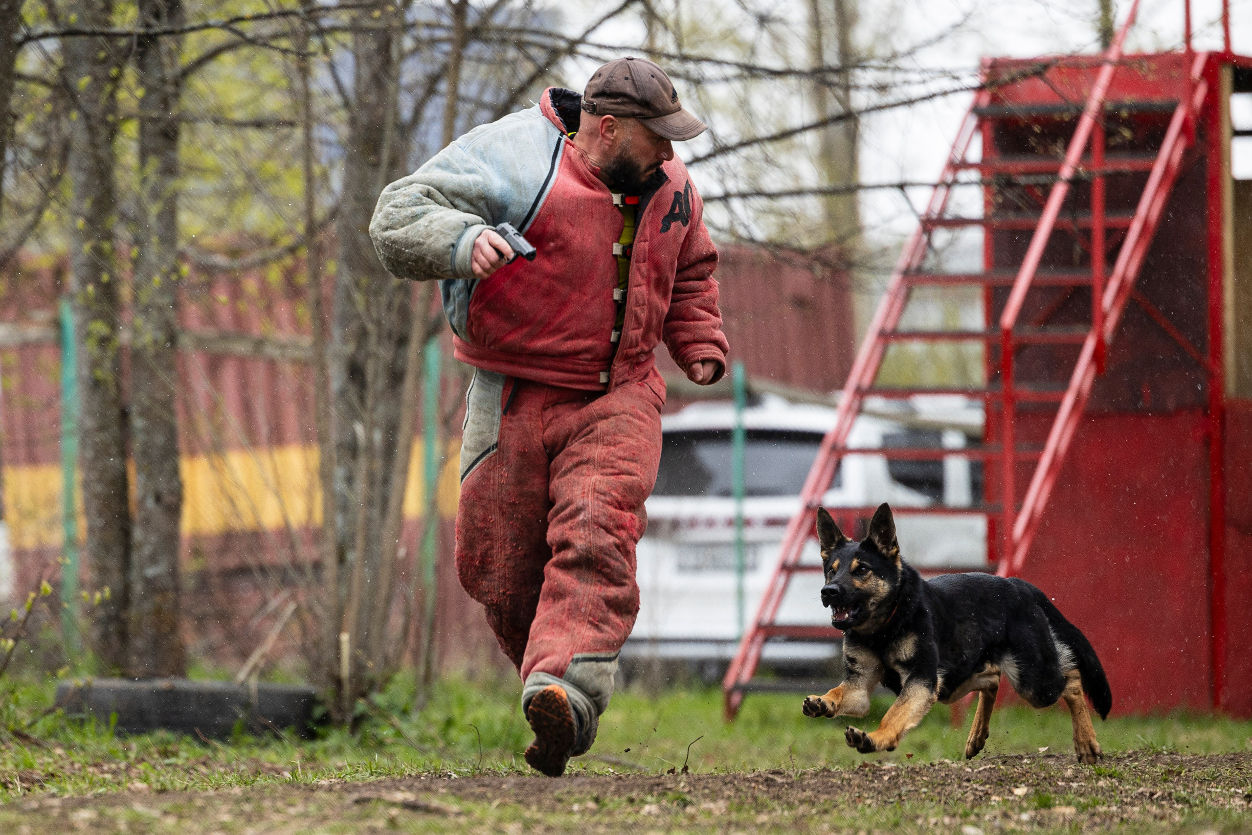 Квалификационные состязания по мондьорингу г. Вологда 11.05.24. Фотограф-анималист Анна Маринич