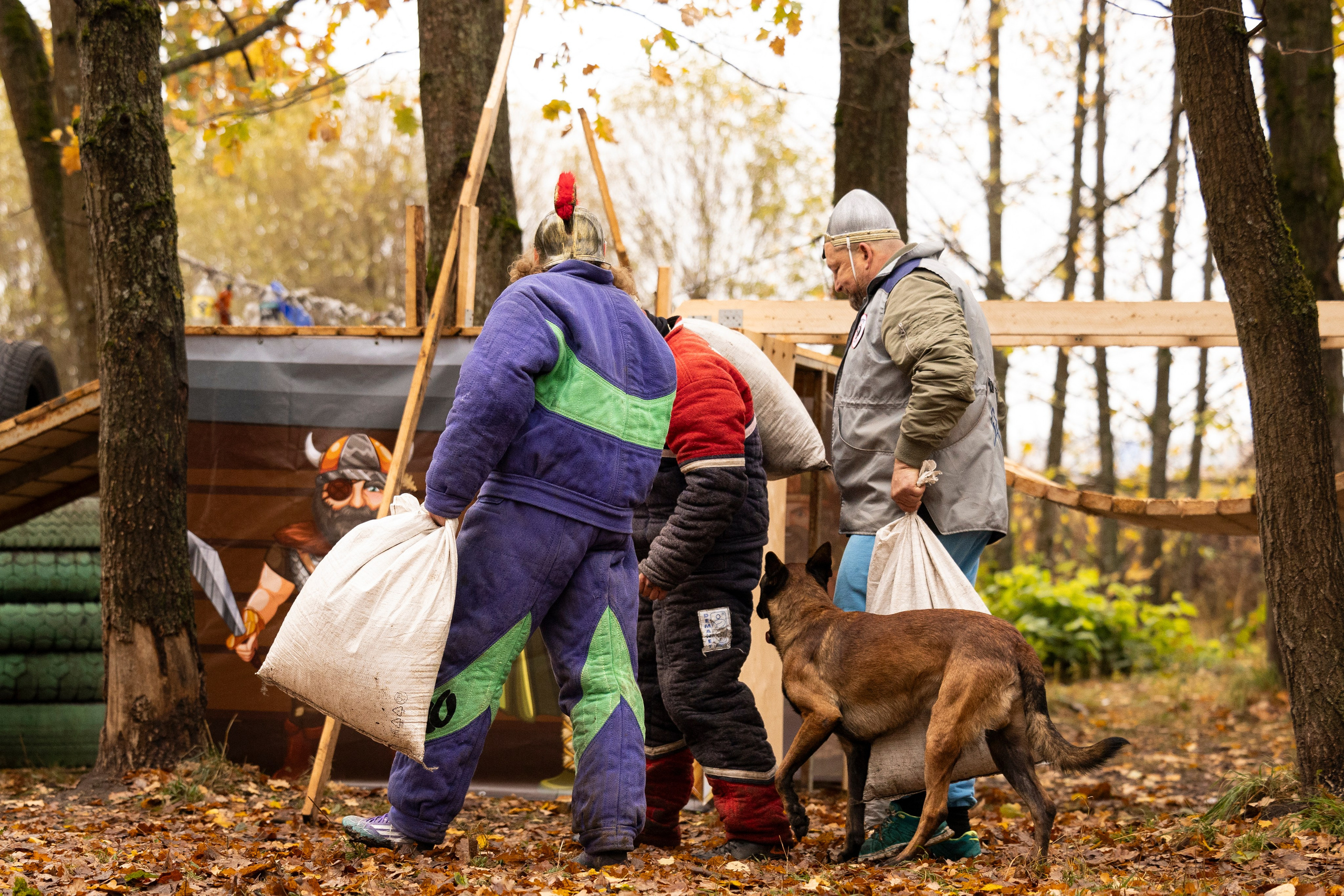 Соревнования по Мондьорингу г. Вологда. Фотограф-анималист Анна Маринич