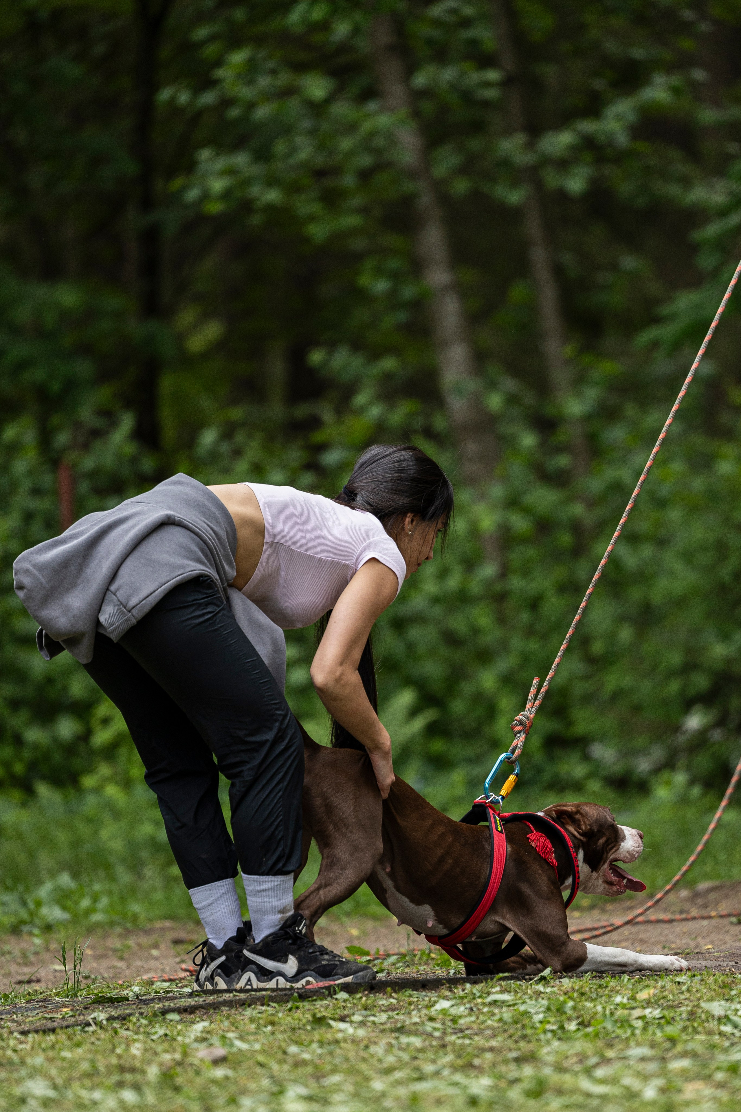 Пит-стафф многоборье. Фотограф-анималист Анна Маринич