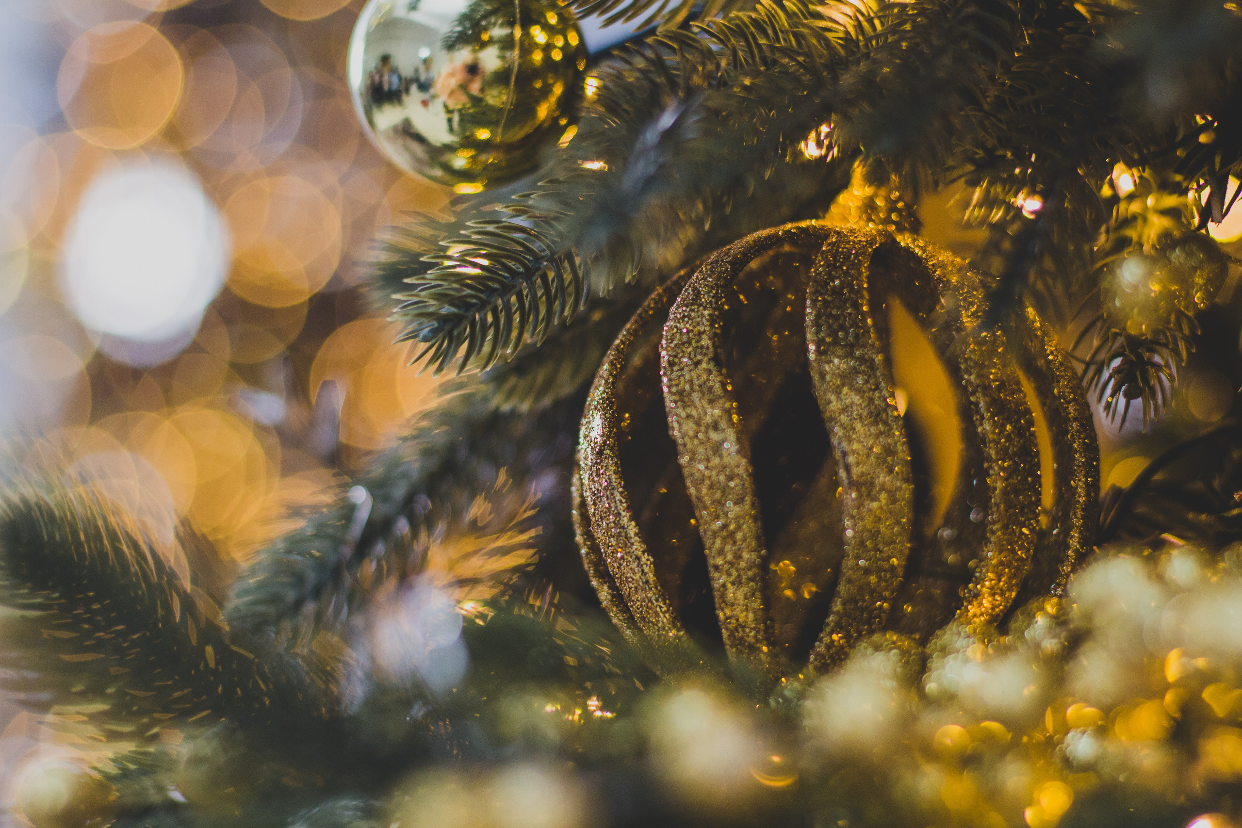 Новогодняя фотосессия