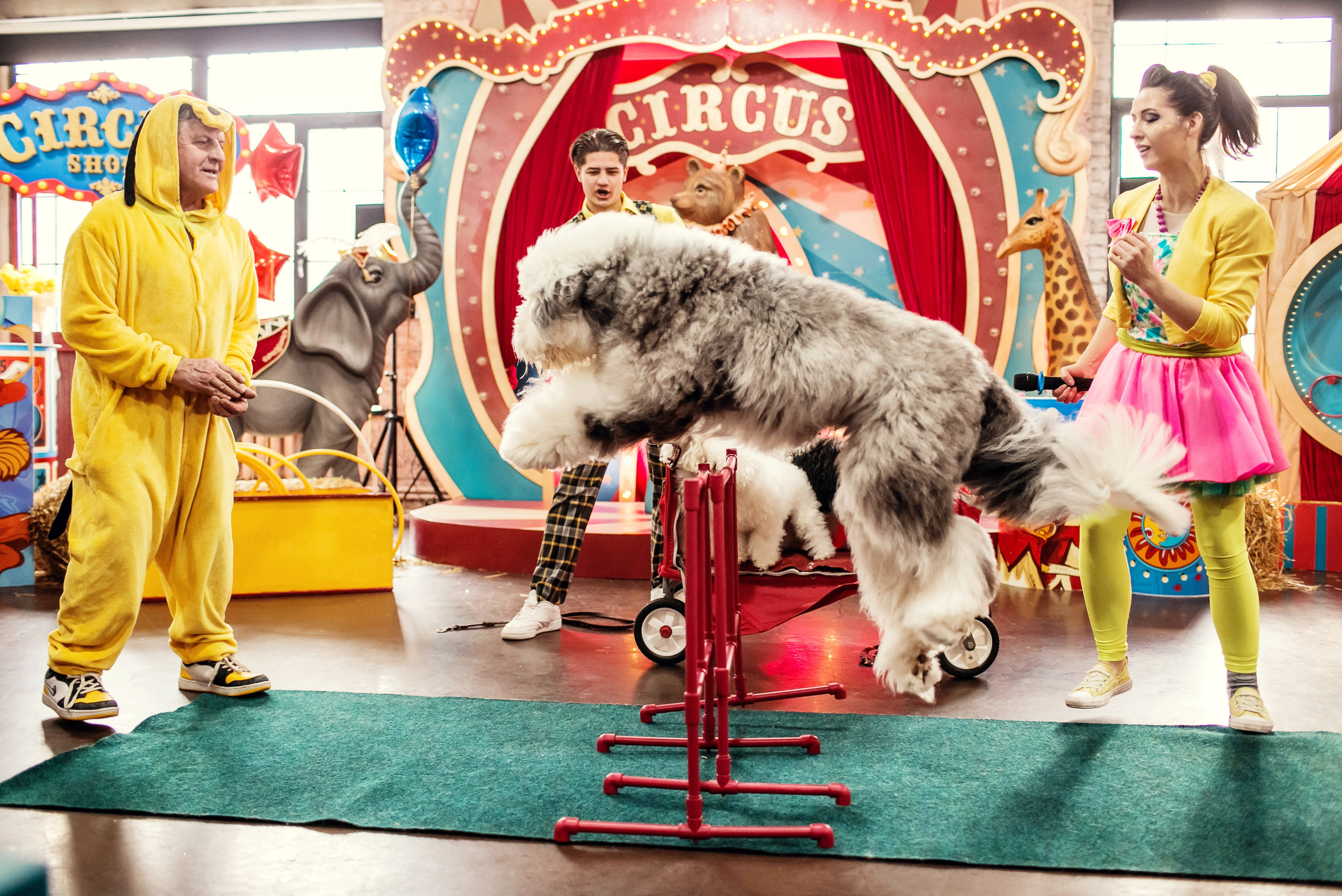 Насте 5 лет. Детский и семейный фотограф в Москве Анна Ипатьева