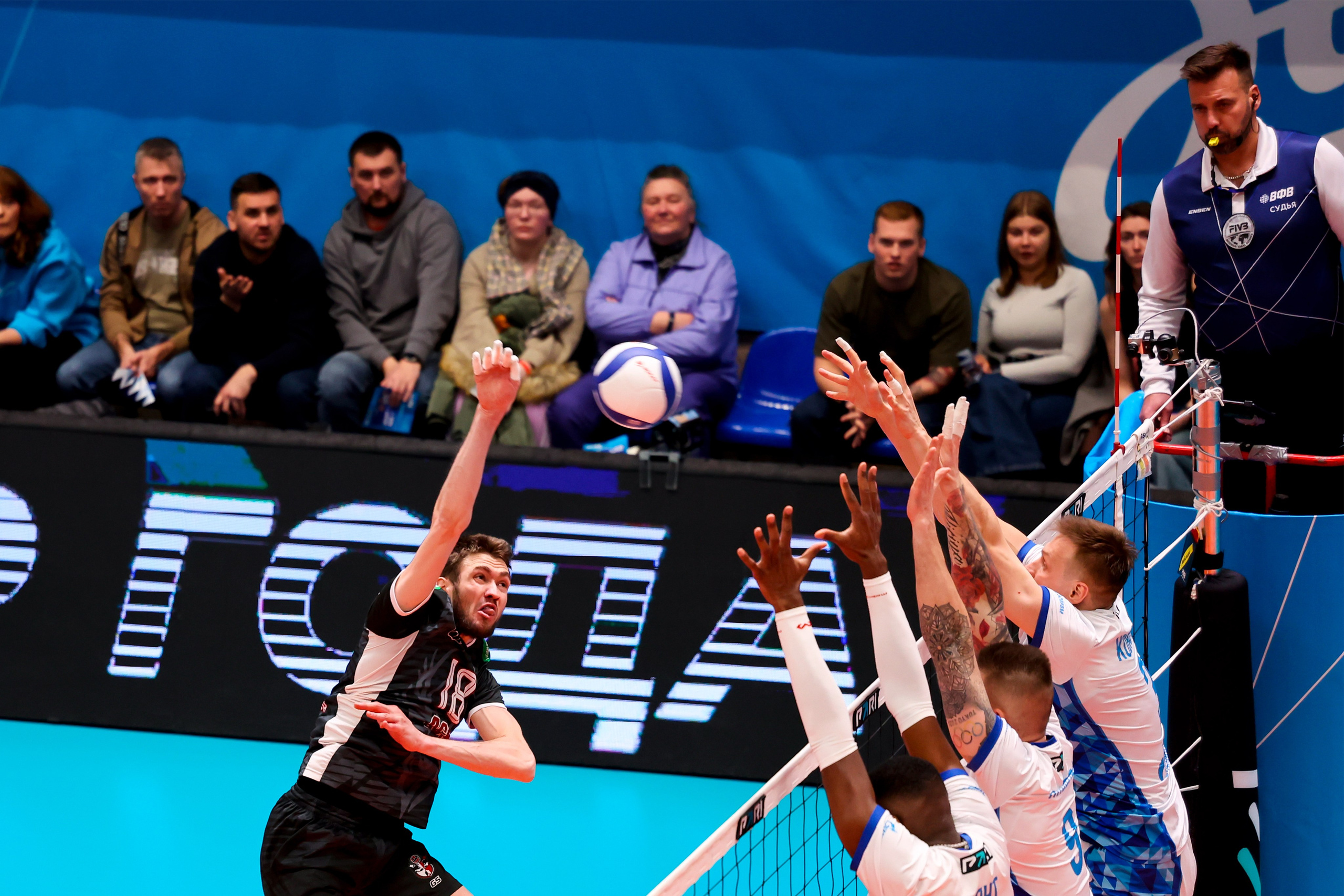 ВК Зенит — ВК АСК 15.03.2025. Спортивный и репортажный фотограф Антон Тереханов