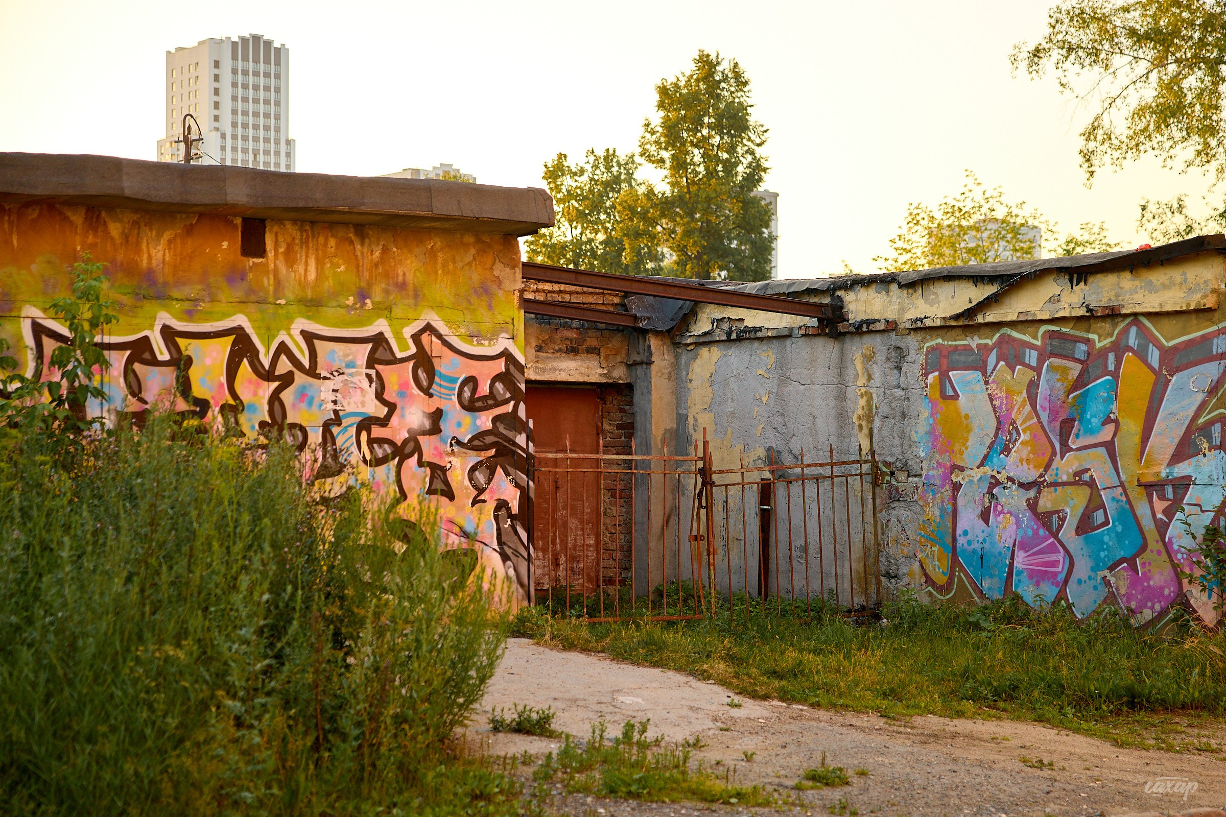 Не чай с Сахаром #5 от 17.07.2024. Профессиональный фотограф в Екатеринбурге Юра Сахар