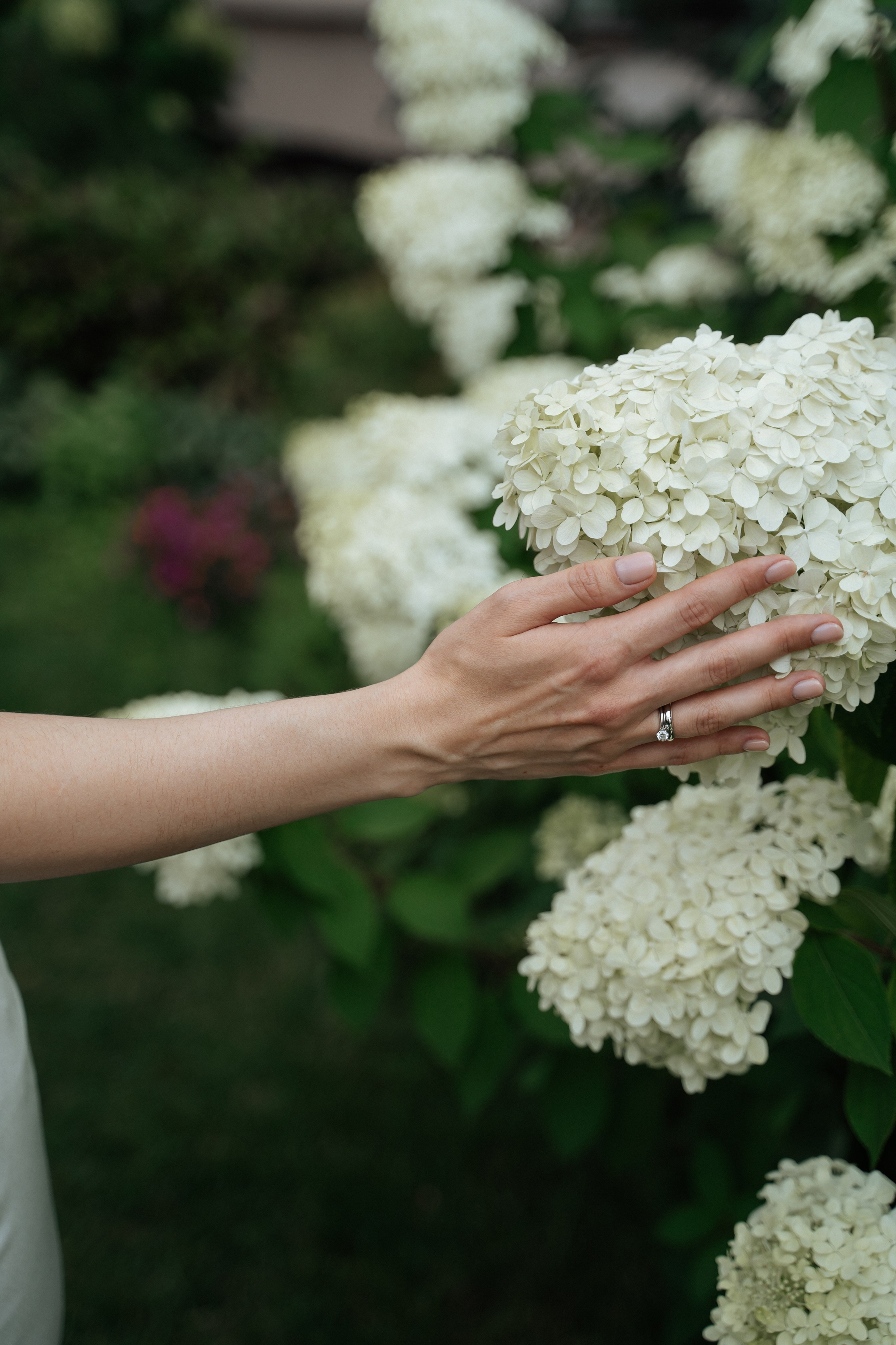 Риназ & Аниса. Фотограф Гульназ Ахметгалиева | Никах Казань