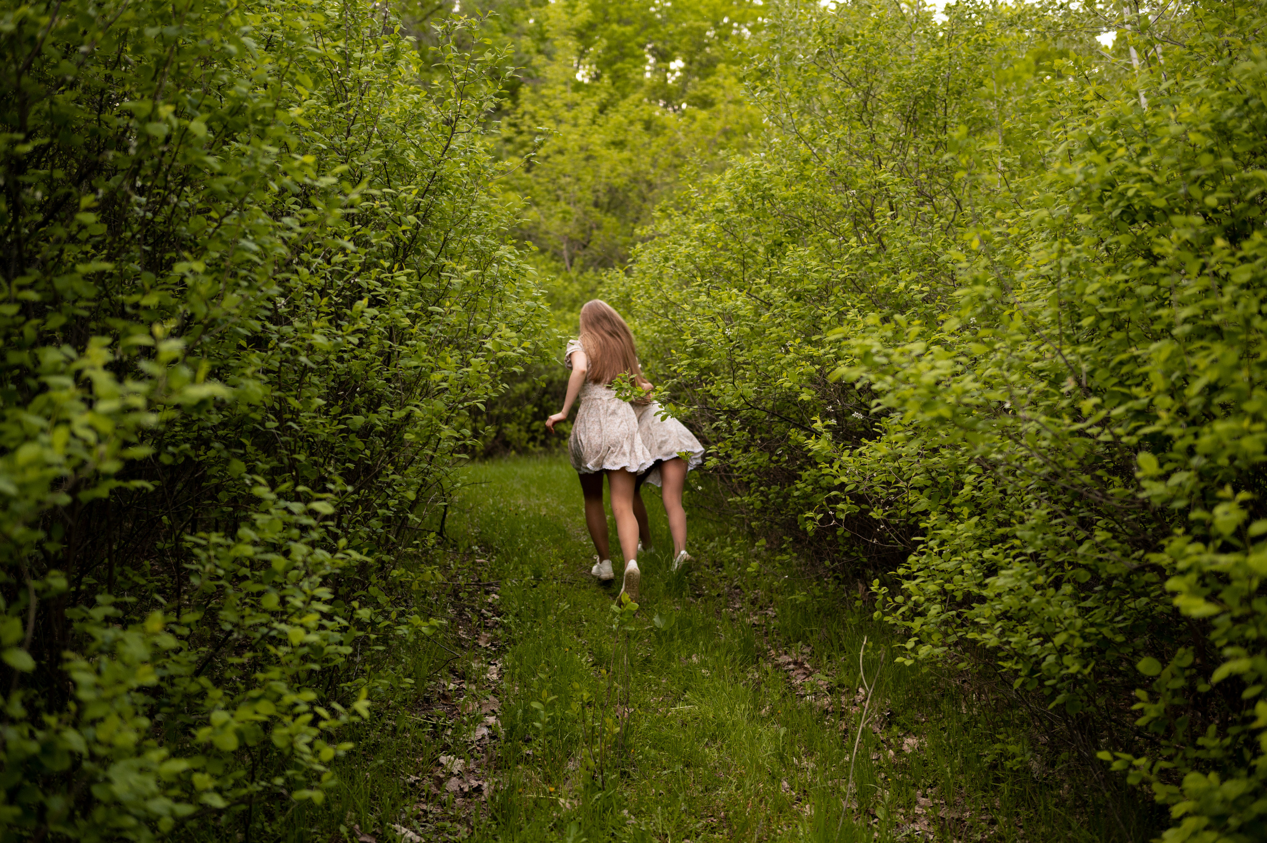 Варвара и Полина. Главная