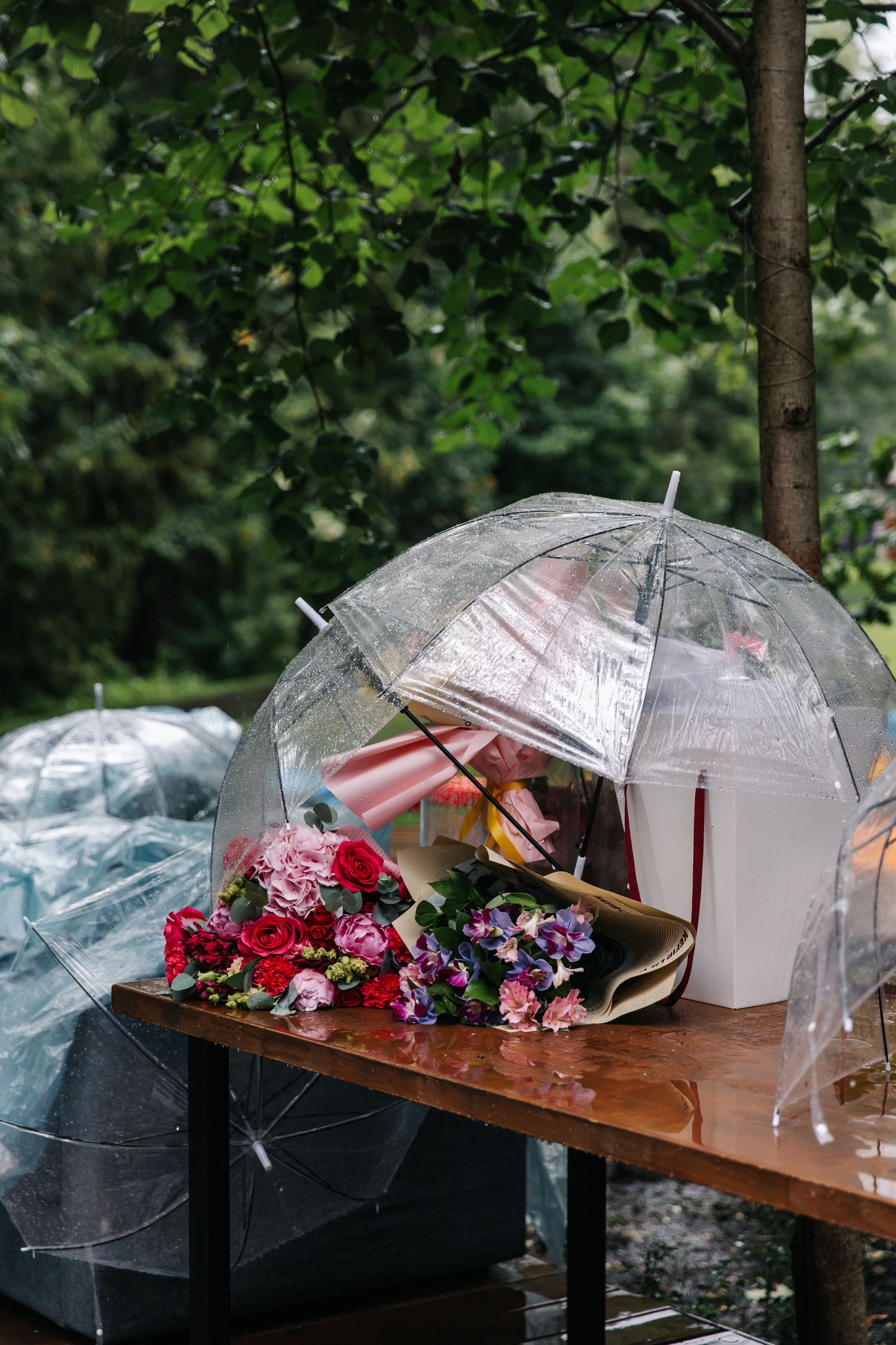 SVЕТлые люди. Анастасия Мелёхина Фотограф Москва, Свадебный фотограф Москва