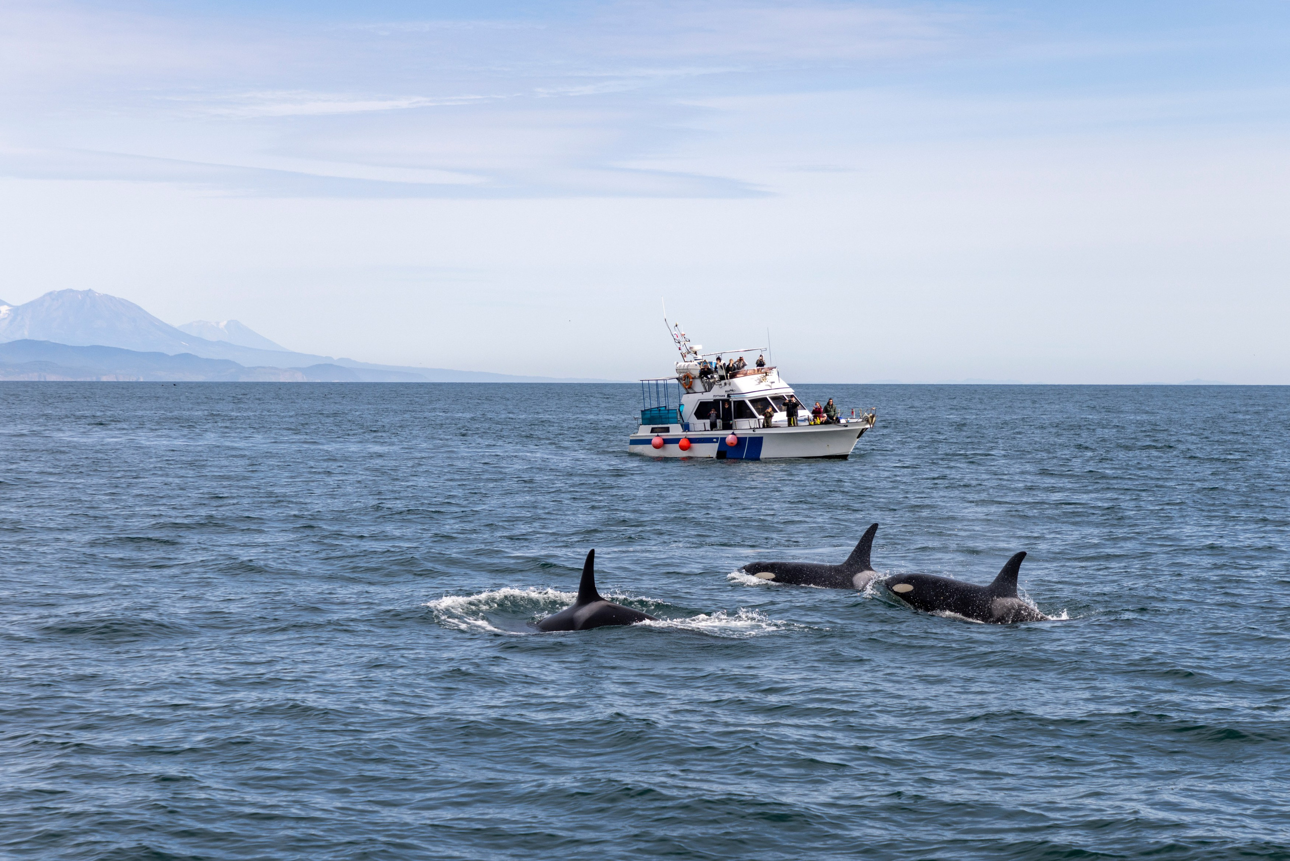 Камчатка + Сахалин — экспедиция в два региона за одну поездку. Время Камчатки: чтобы найти свой путь, нужно скорость умножить на время
