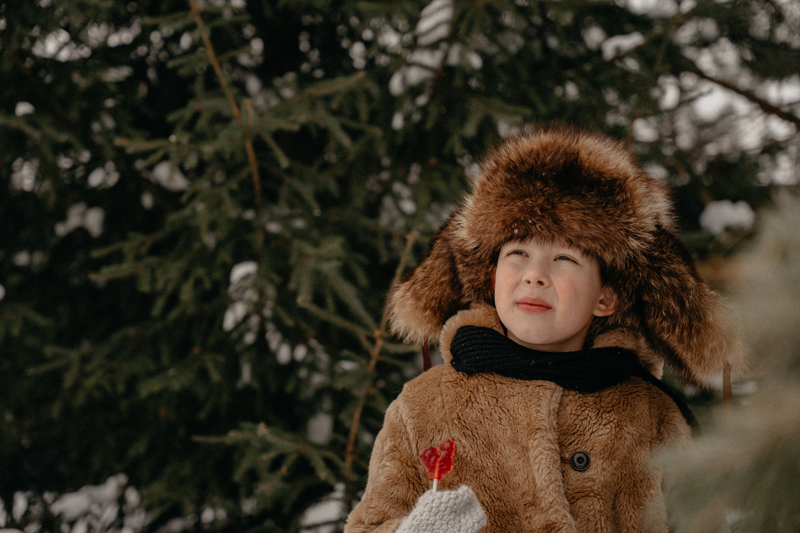 Назад в прошлое