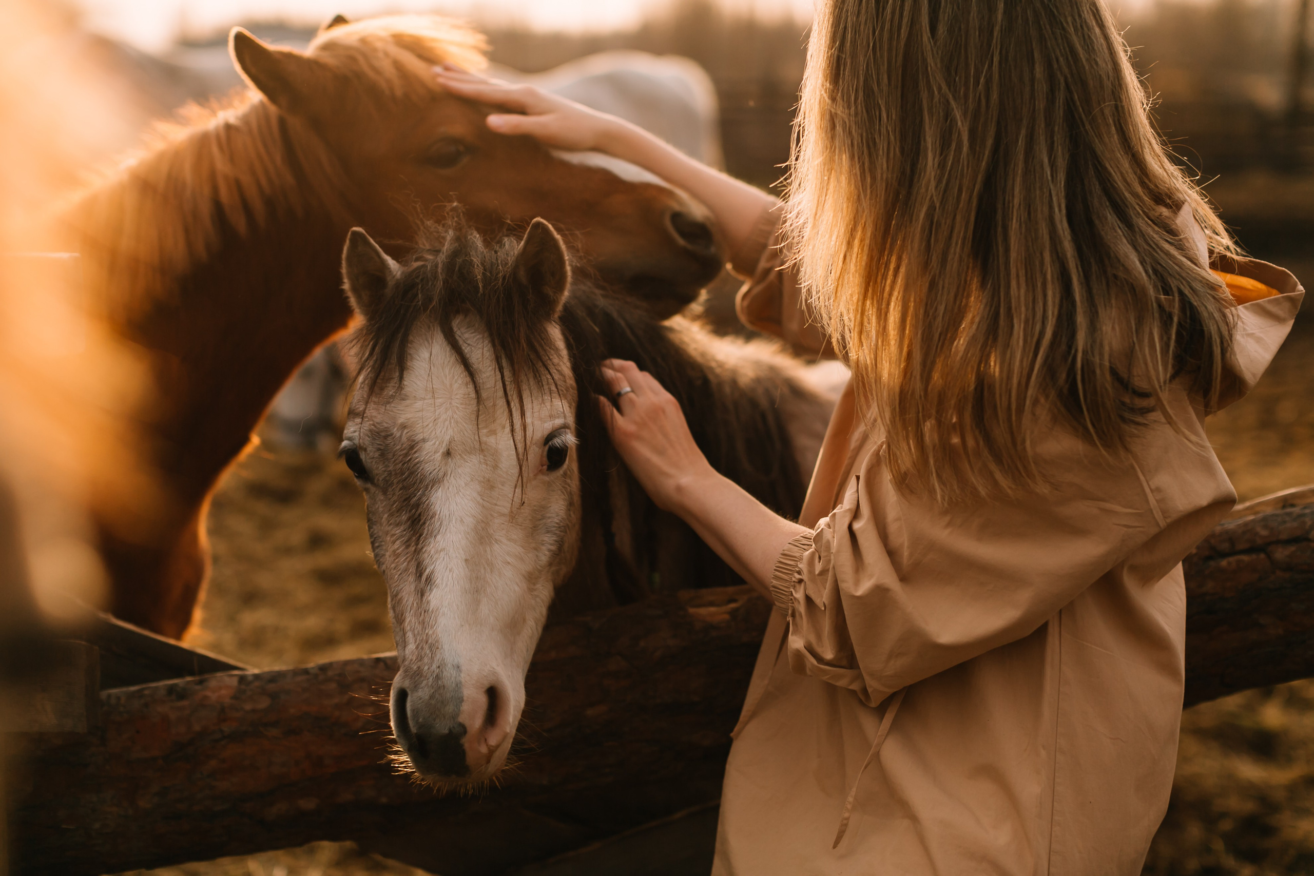 алёна малахова фотограф новосибирск семейный детский домашняя фотосессия в новосибирске день рождения репортажная съёмка фотосессия с лошадьми на конюшне деревня алтай  на природе фотосессия в детском саду мама и сын предложение руки и сердца идея  помолвка фотосессия берег закат детский день рождения годик торт аниматор лофт игровая продолжение следует prodoljenie_sleduet_  корпоратив тимбилдинг первоклашка линейка  контент  бизнес портрет