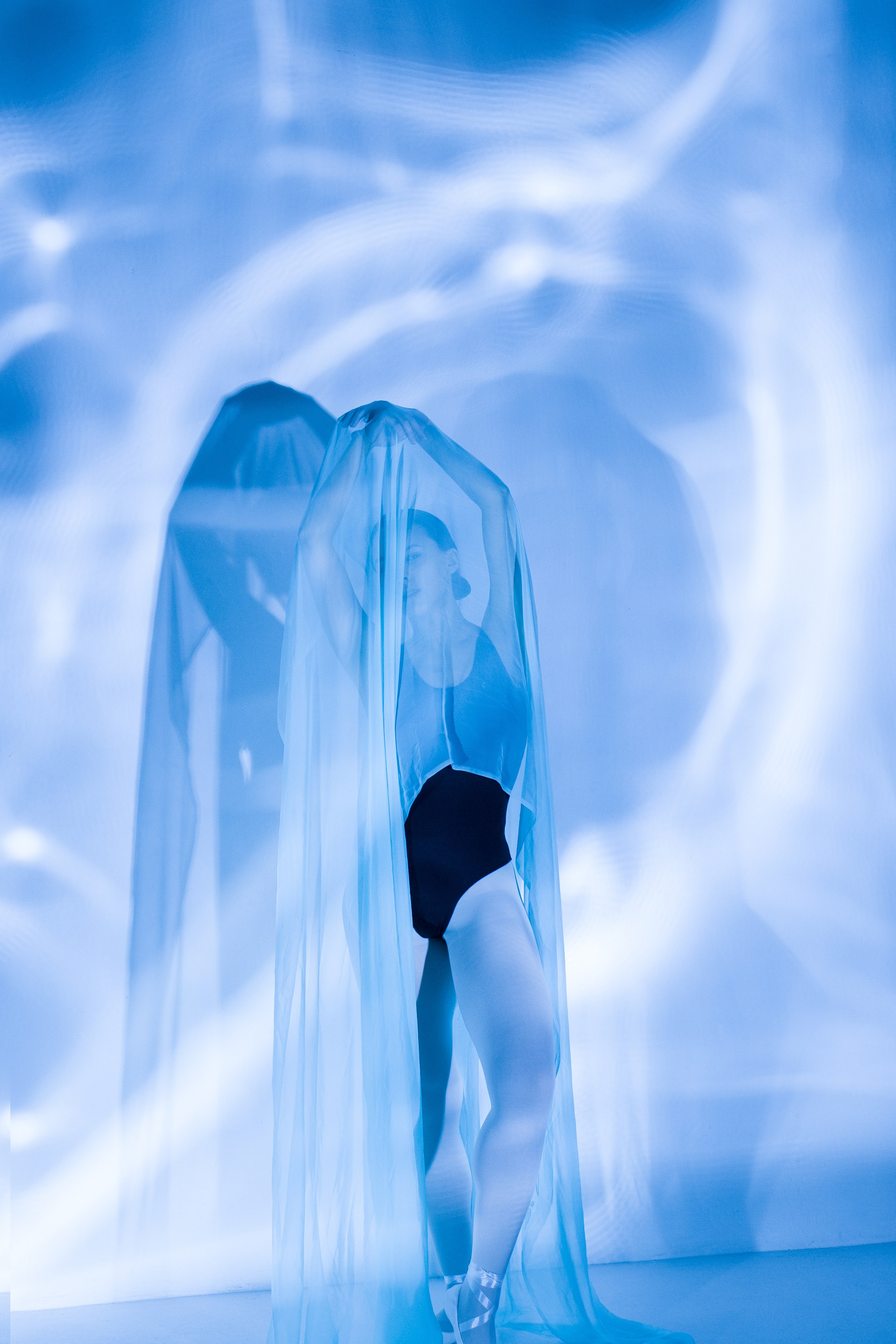 Лилия. Художественная фотография