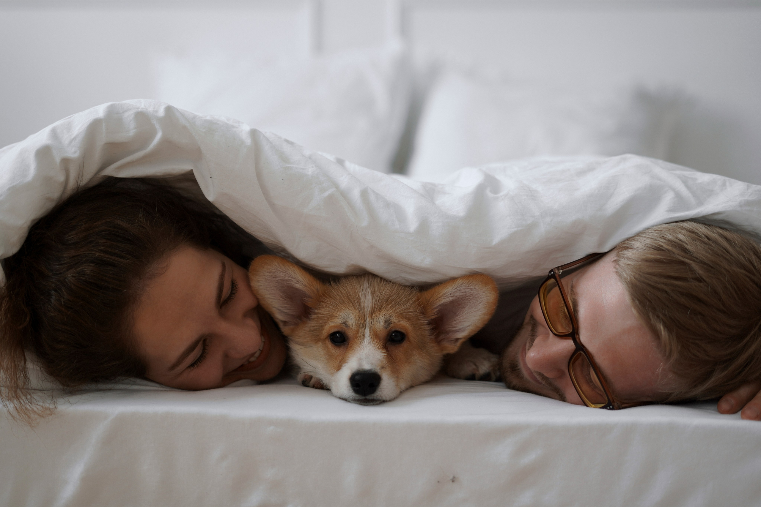 Антон&Марина&Дарси. Ваш фотограф Анастасия Болотникова