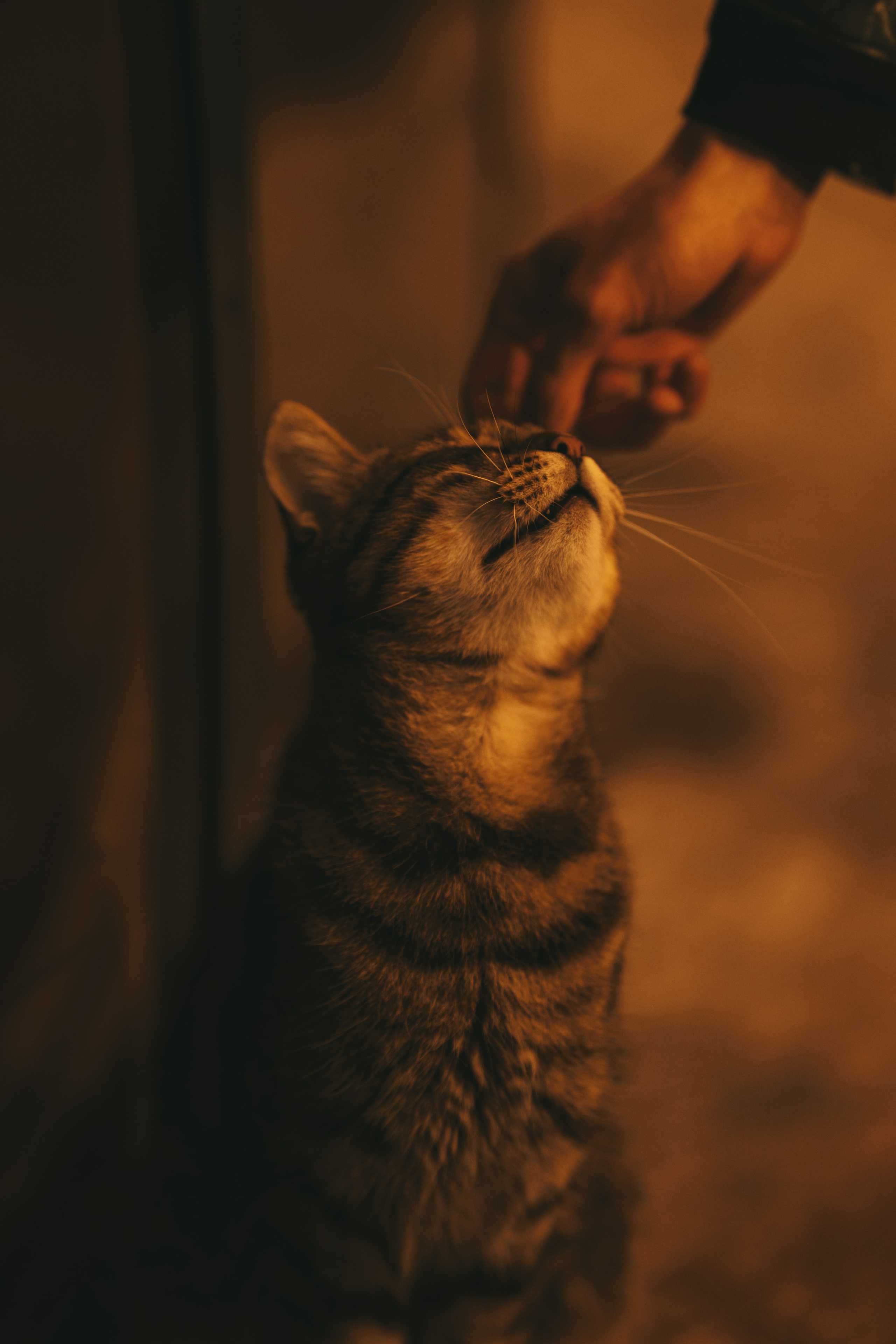 Мужская фотосъемка. Студийный и свадебный фотограф и видеограф в Севастополе — Юлия Макаренко