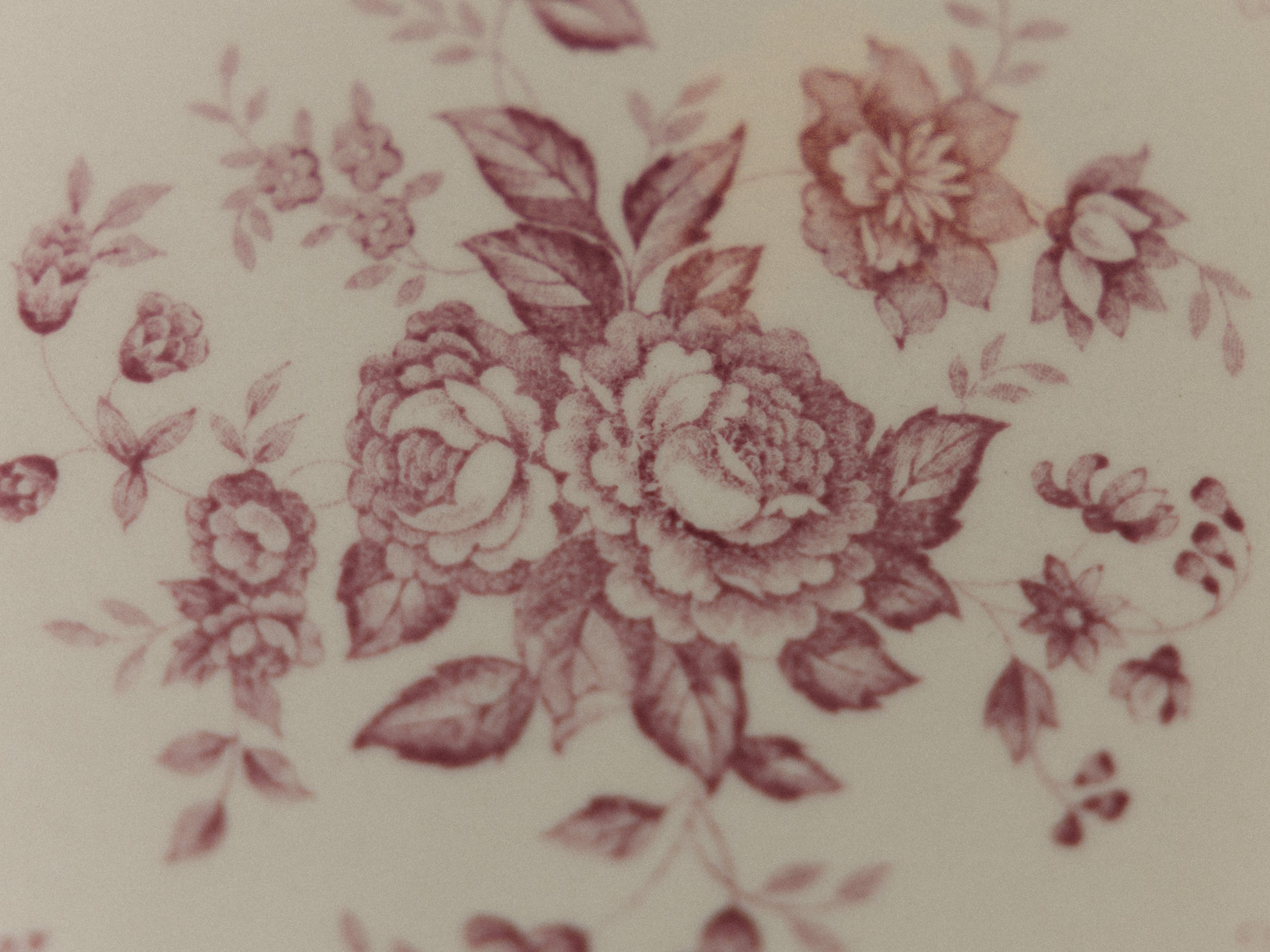 У НАС ЕСТЬ ПИТОМЦЫ :). Свадебный фотограф Москва Ирина Писарева