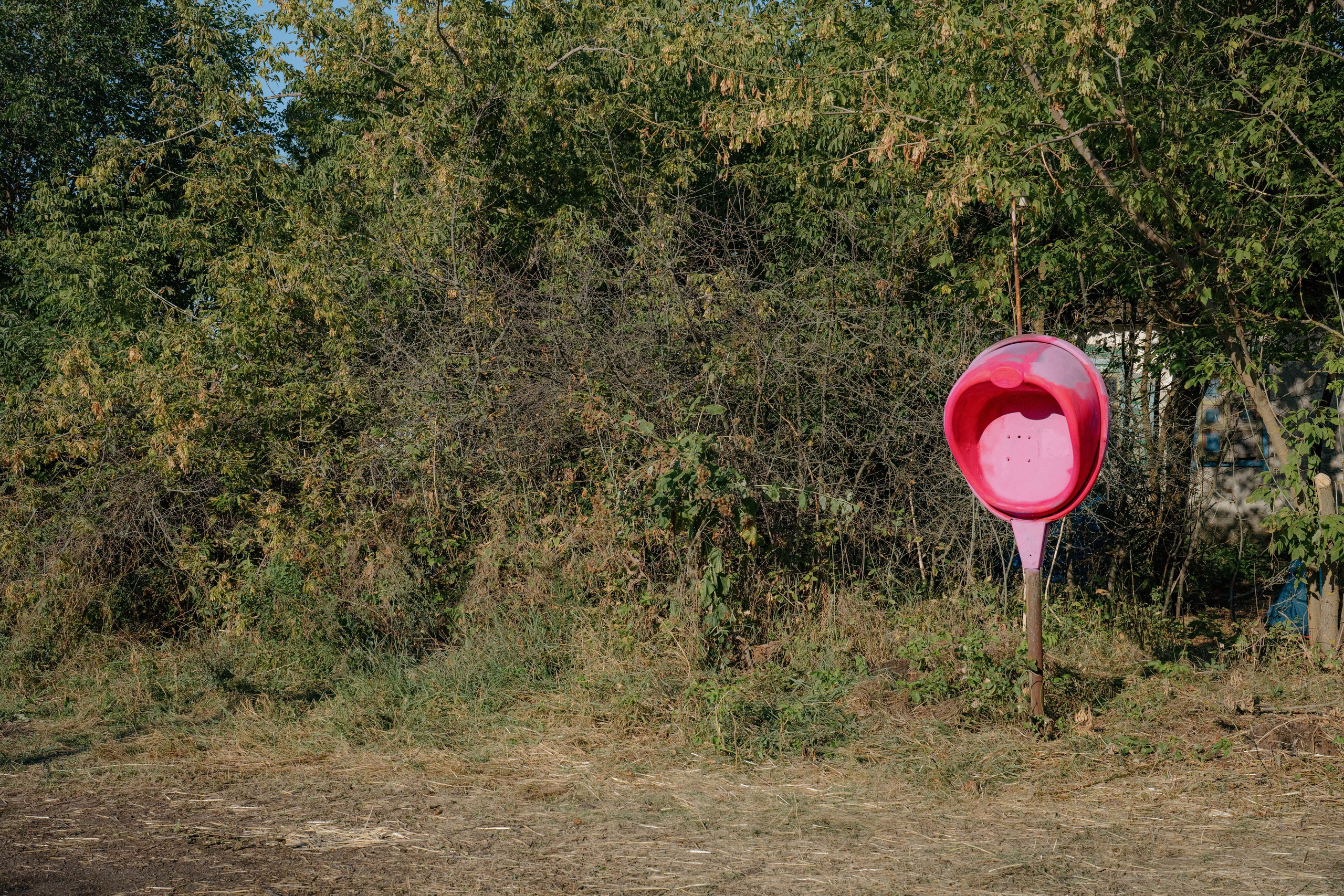 ASS FAMILY | СОН В ДЕРЕВНЕ | АВИАРЕЖИМ 8.0