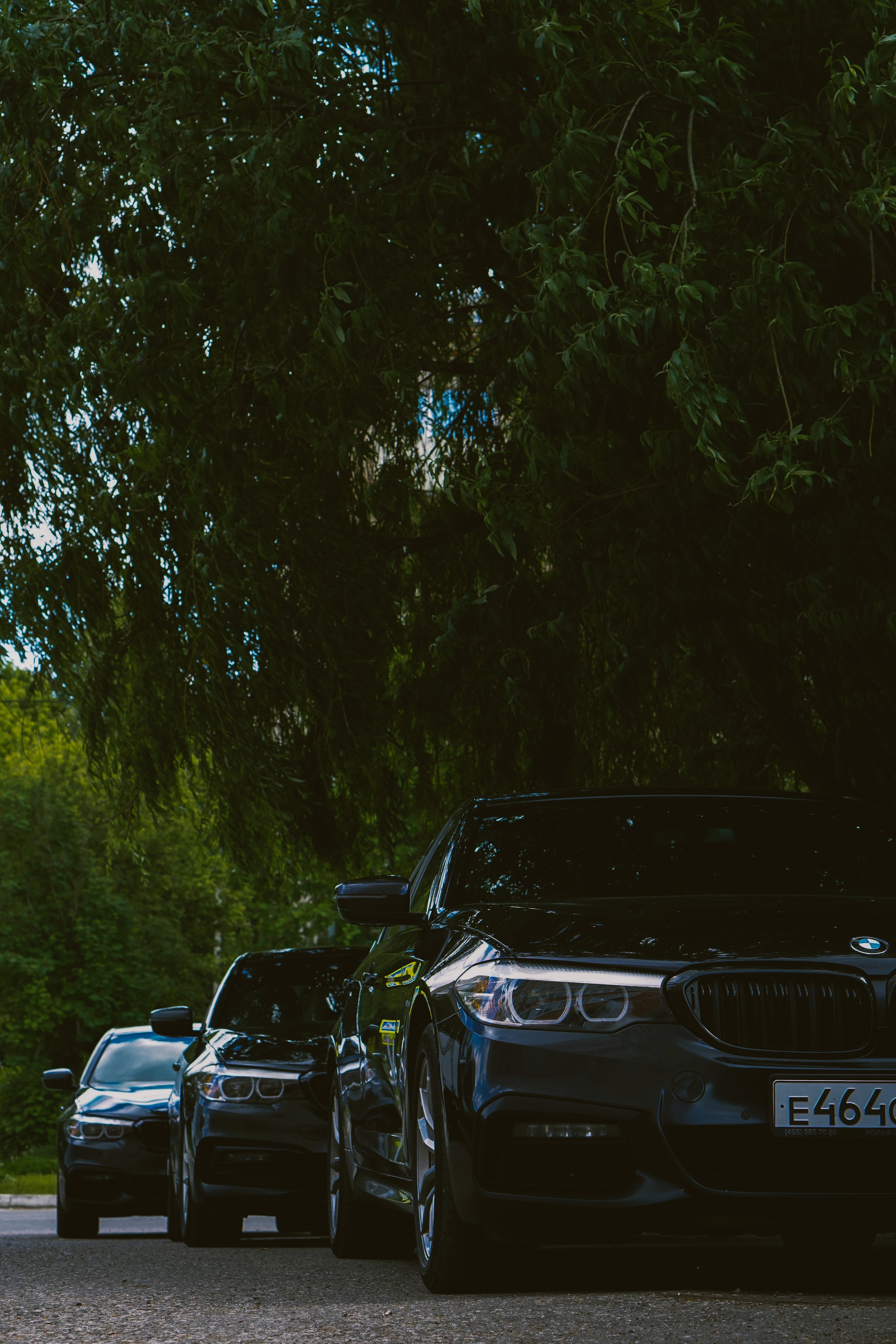 Светлана. Фотограф в Москве Анастасия Калинина