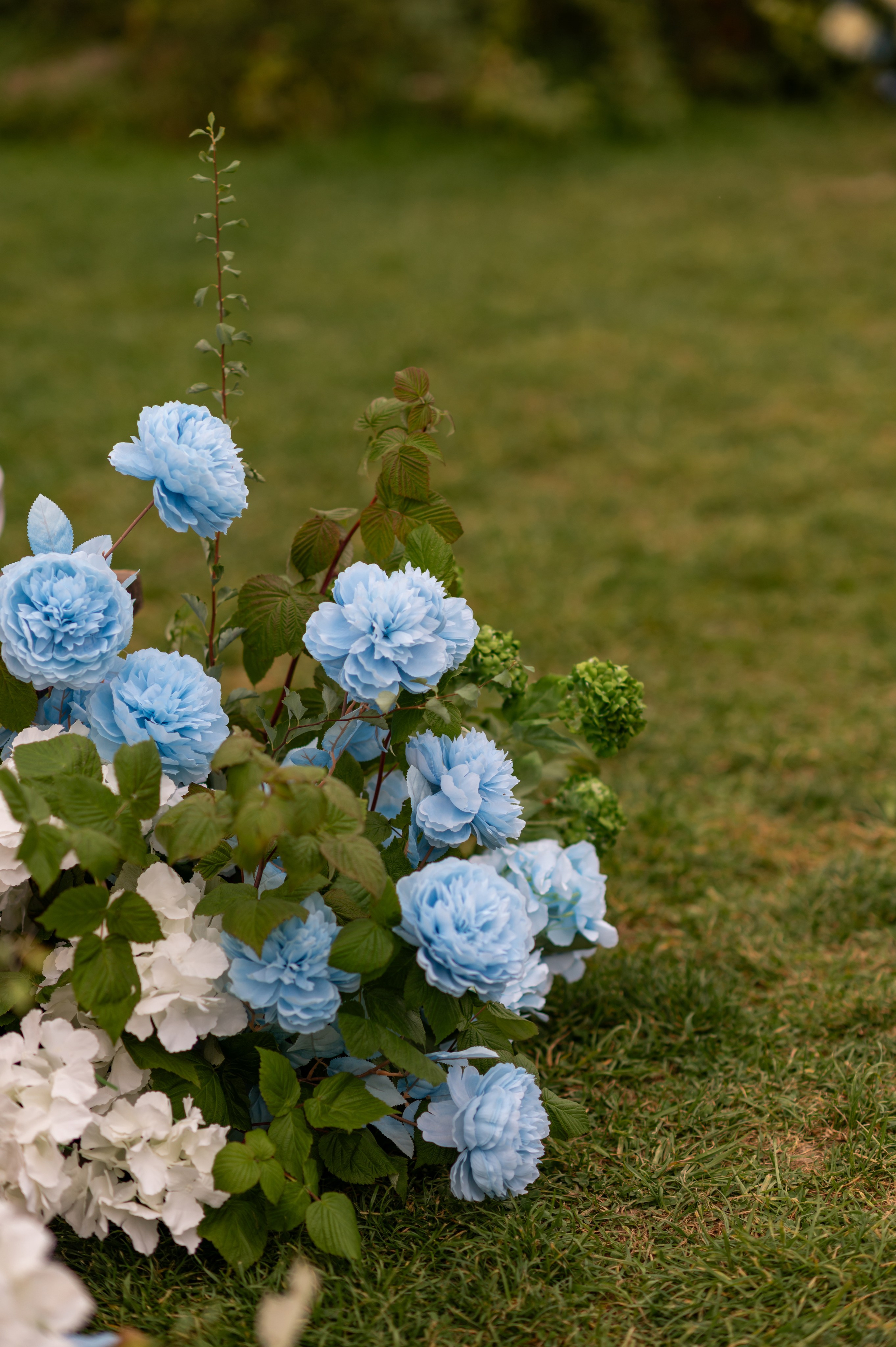 2025. Сергей и Катя. Свадебный и семейный фотограф в Москве и Европе Евгения Амелина