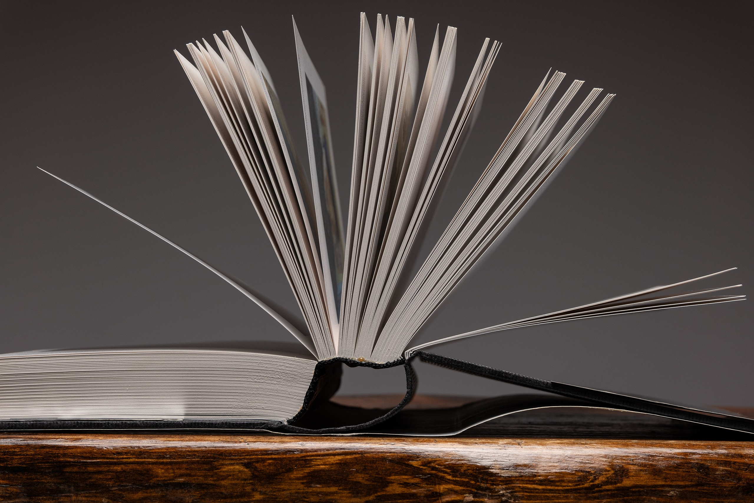 На столе лежит художественный альбом с автопортретами.