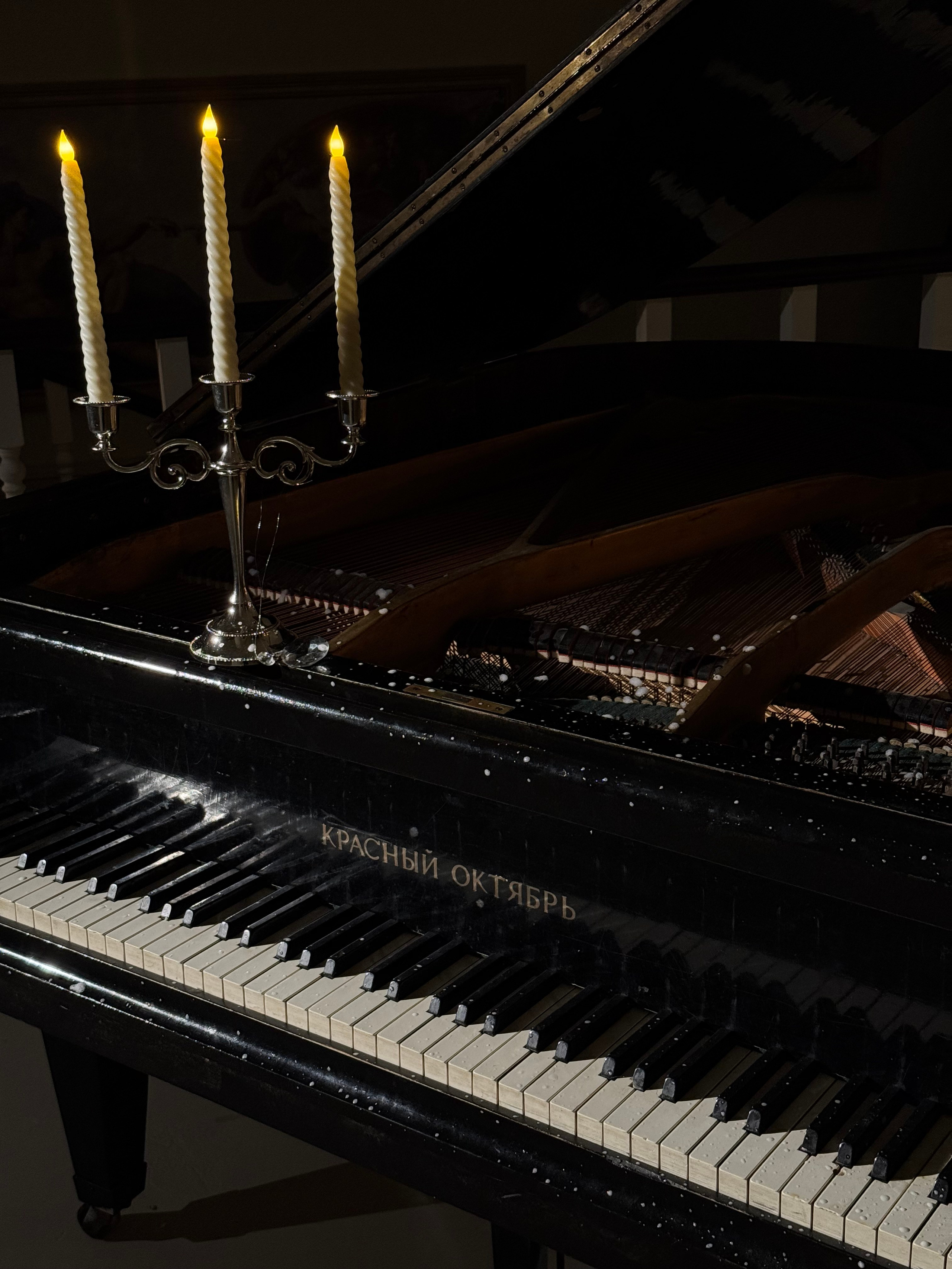 НОВЫЙ ГОД 2026. МАРГАРИТА КУДРЯШОВА СВАДЕБНЫЙ И СЕМЕЙНЫЙ ФОТОГРАФ ТВЕРЬ МОСКВА