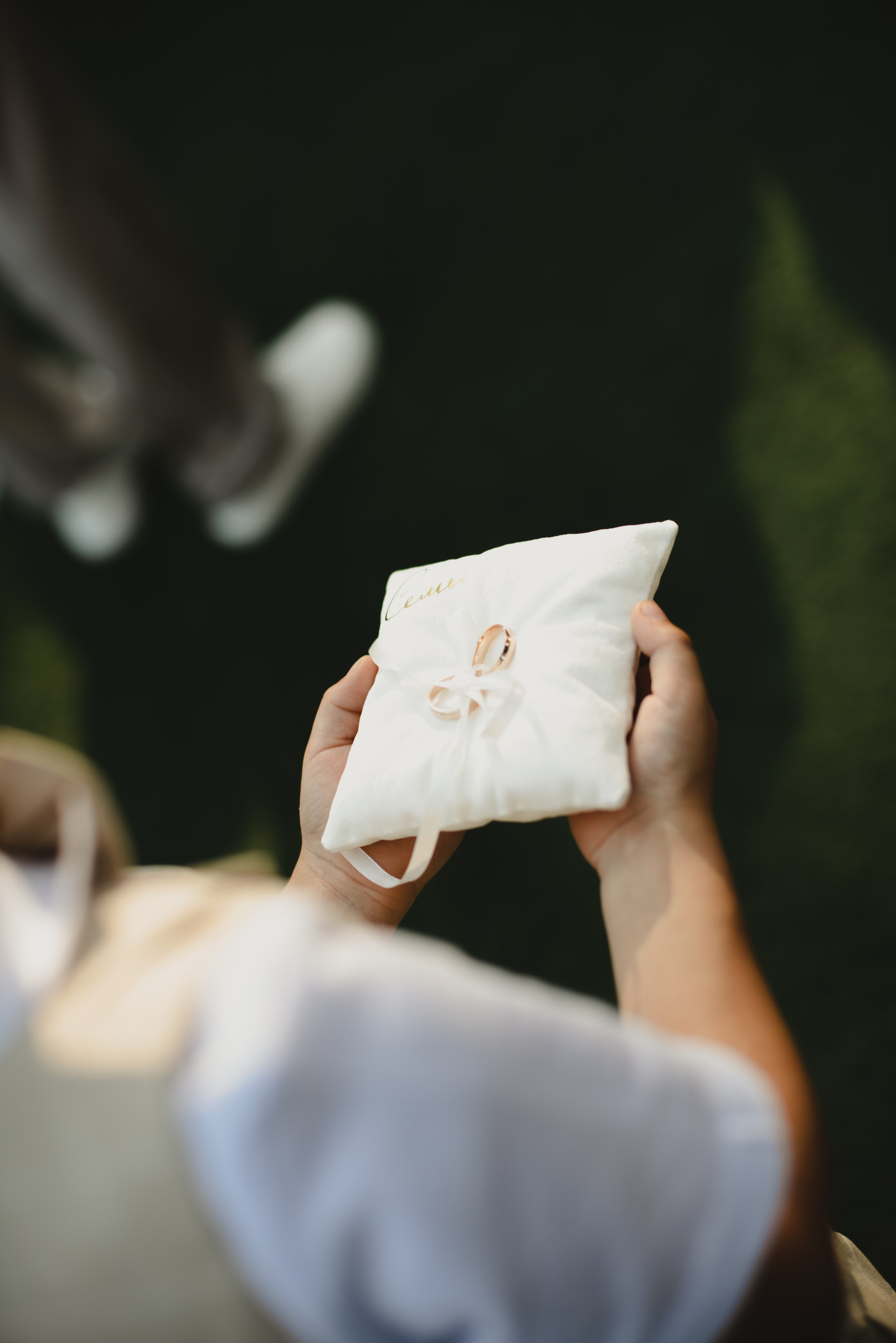 Иван и Дана