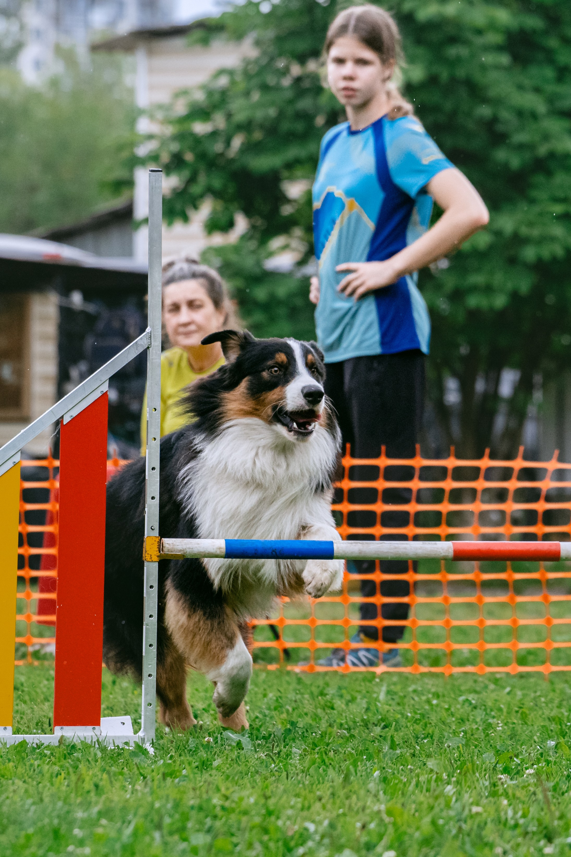 Соревнования по аджилити Долгопрудный 30.06.2025. Фотограф-анималист Татьяна Степанова
