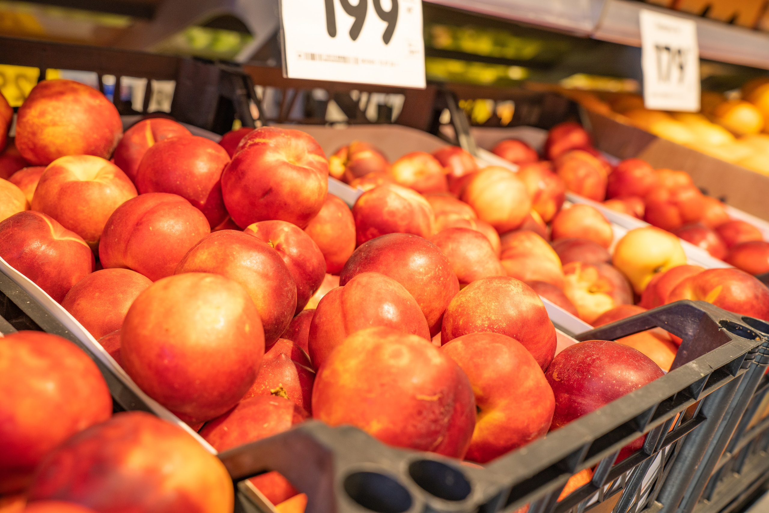 Открытие магазина «Верный». Концертный и репортажный фотограф в Санкт-Петербурге Слава Пахомов