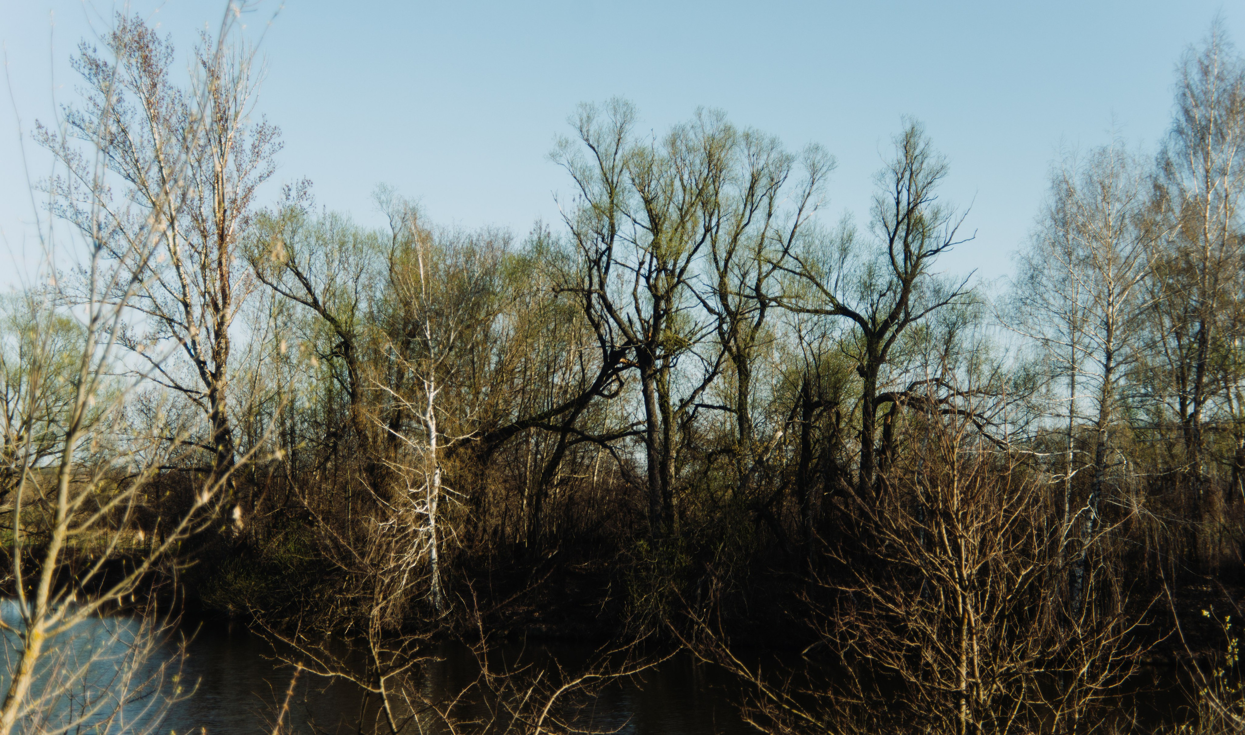 Орановка. Репортажный и портретный фотограф в Липецкой, Воронежской, Московской области Тёма Белоусов