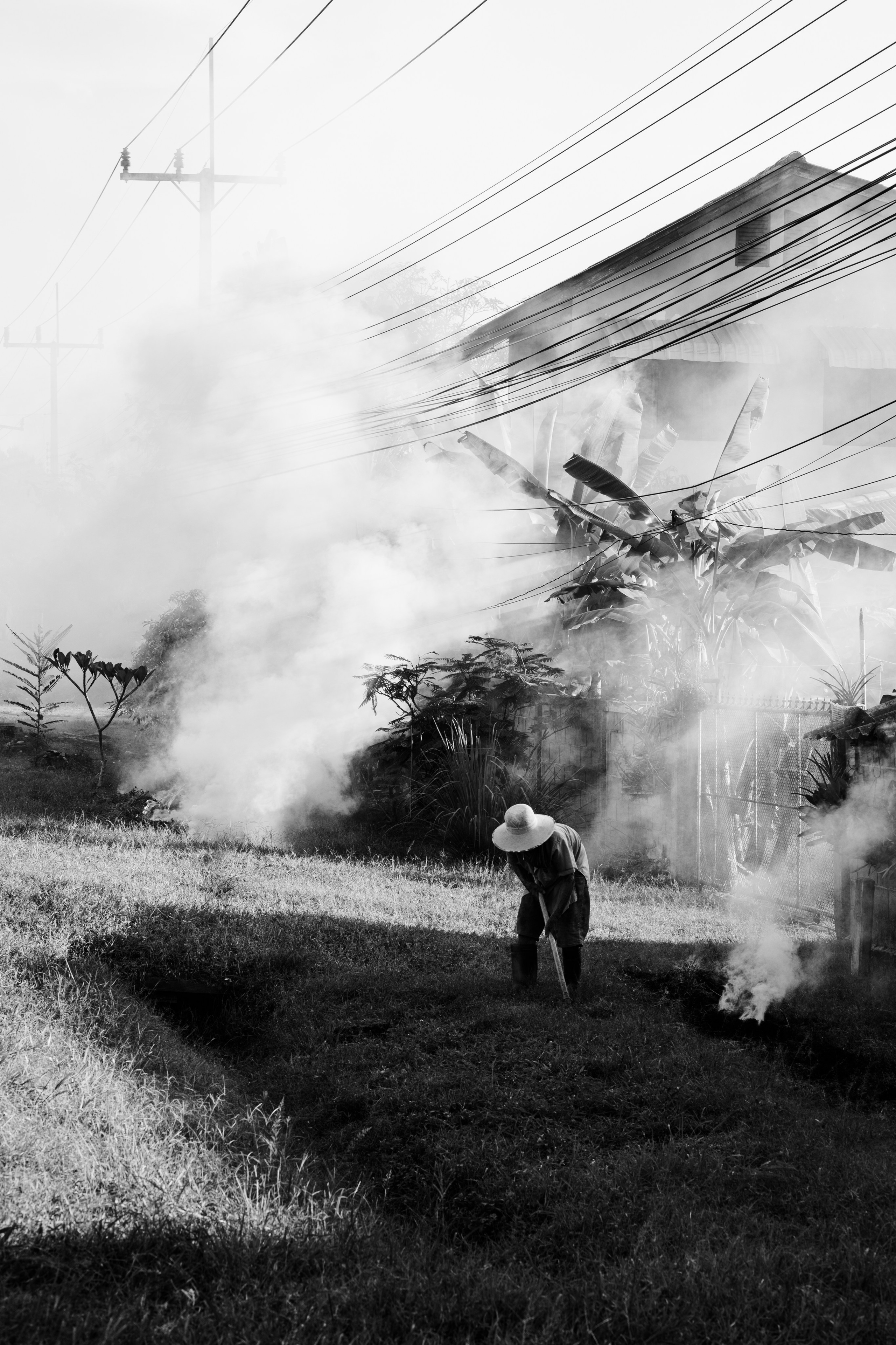 Portfolio. @beingabird.photography