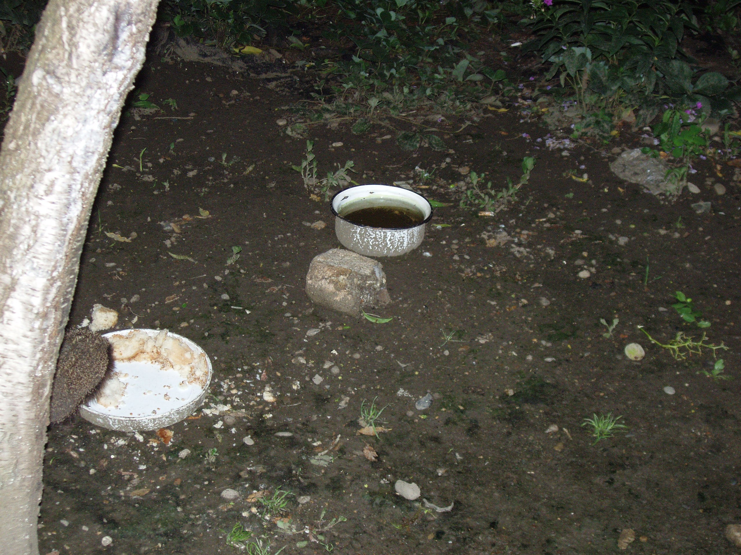 Отпуск 12.06-18.08. Семейный, Свадебный фотограф СПБ Питер— Романова Екатерина