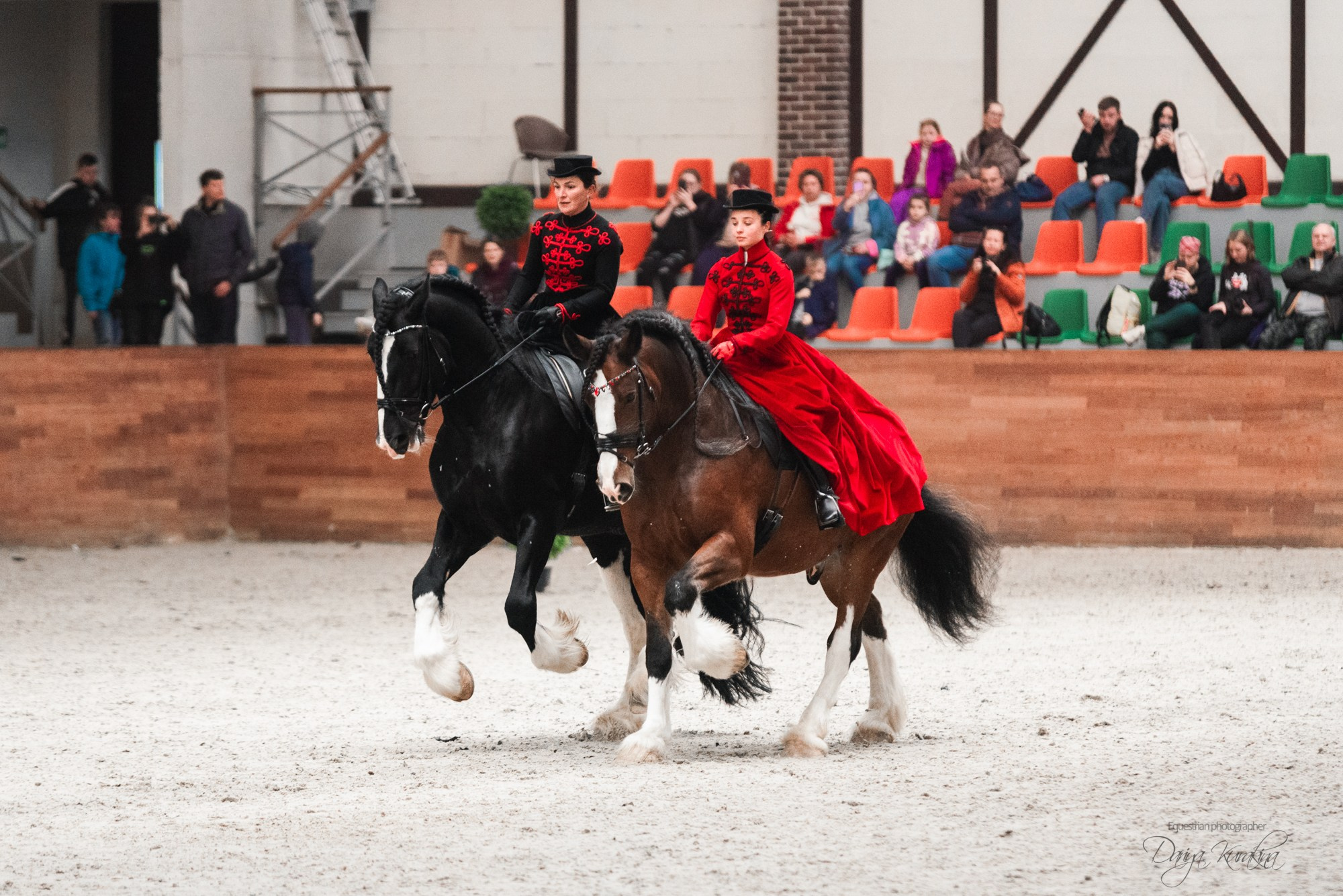 8-я международная выставка Конная Россия. Конный фотограф Куракина Дарья • Фотосессии с лошадьми