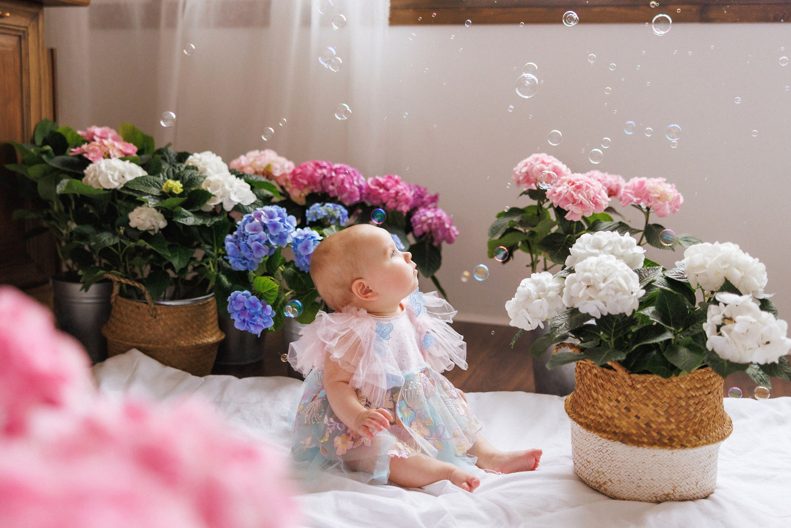 Фотосессия с живыми цветами Гортензии, город Краснодар, фотостудия «Истории». Семейный и детский фотограф в Краснодаре Анна Трашкова