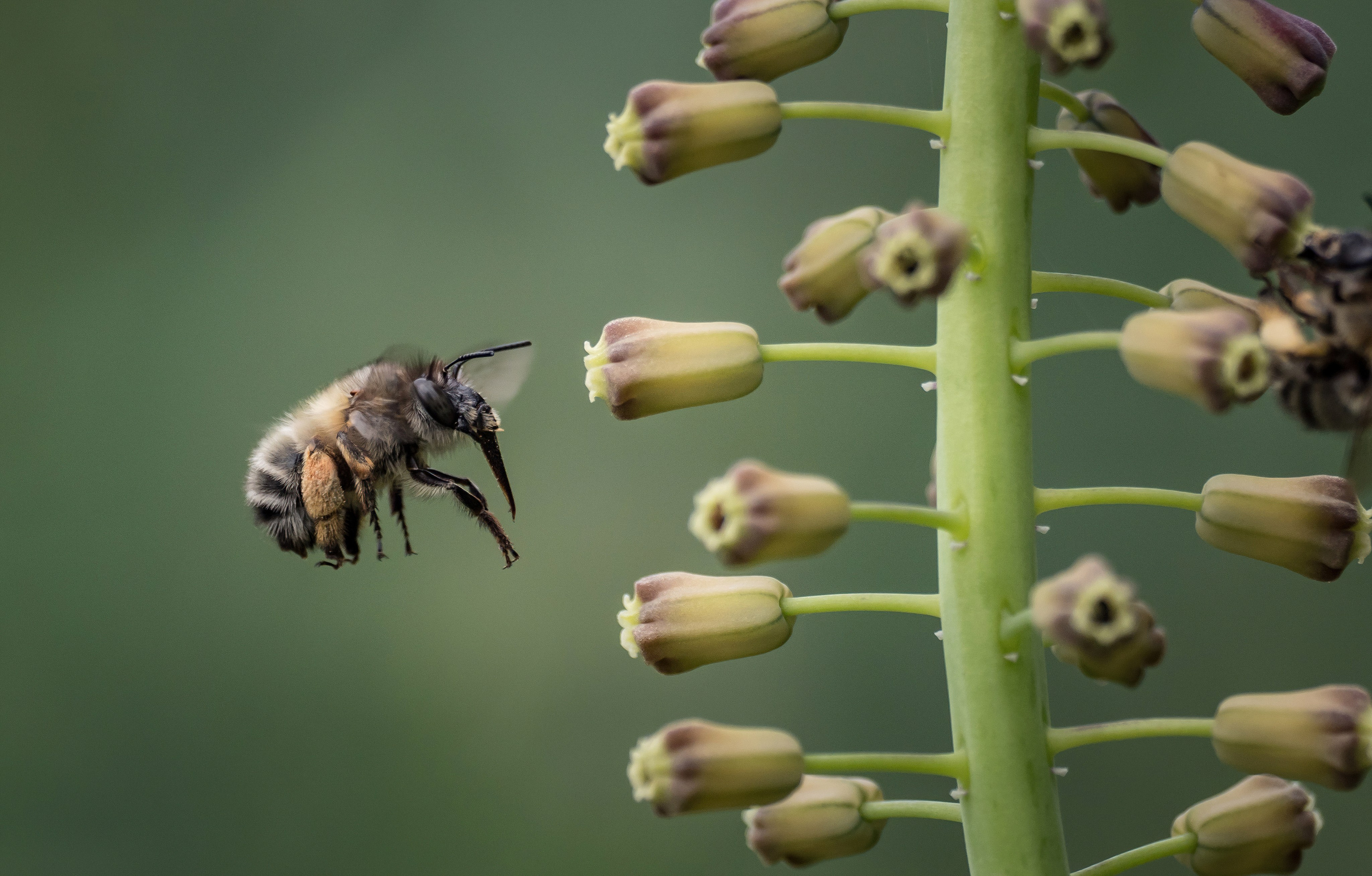 Остальные. Oles Paritskiy