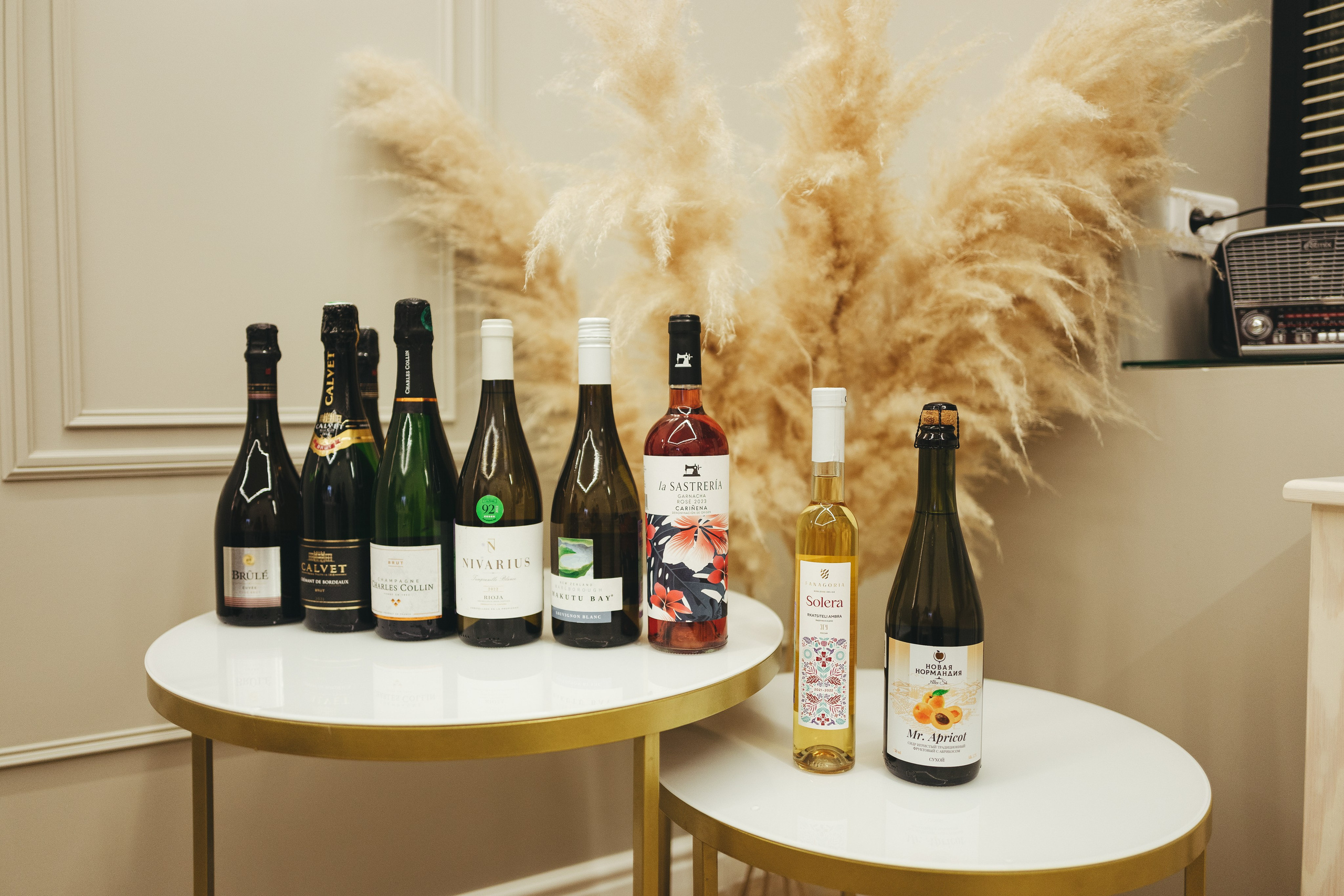 Degusteishen wine 2024. <3