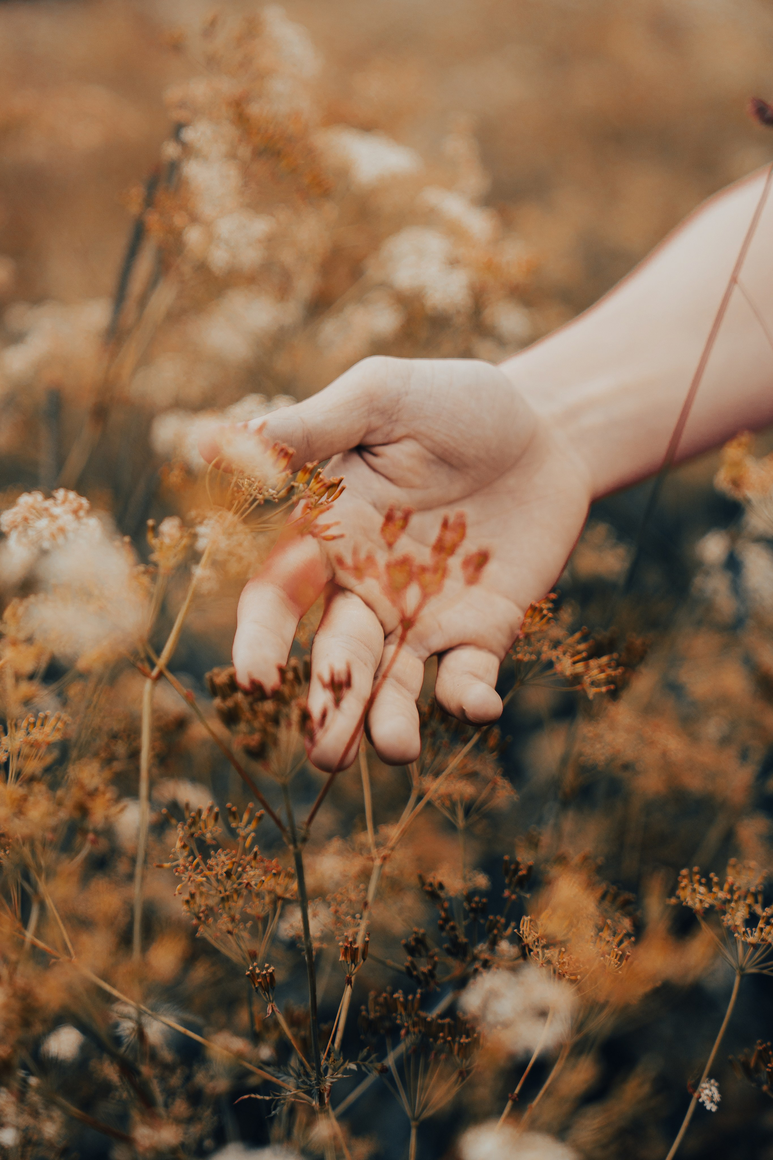 Фотосессия в поле. ТриМедиа Продакшн