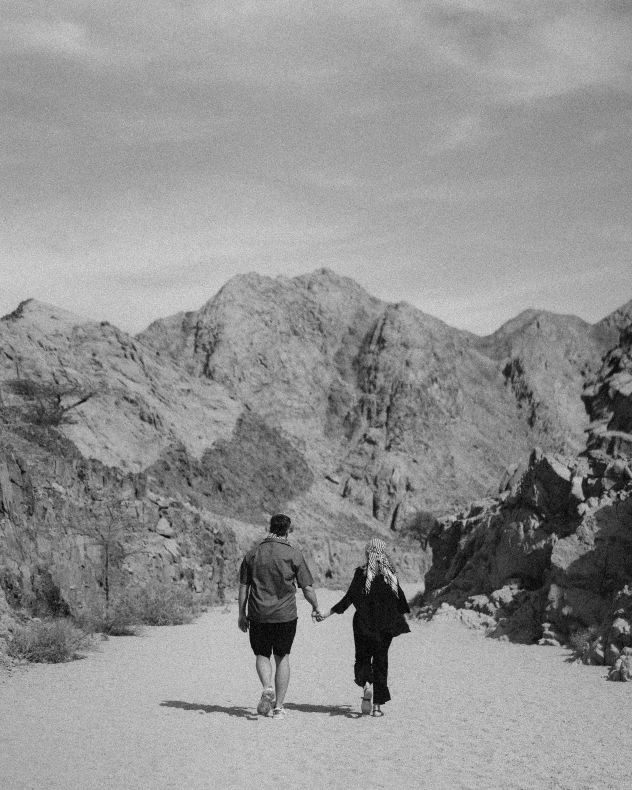 Арабика. Никита Погосов