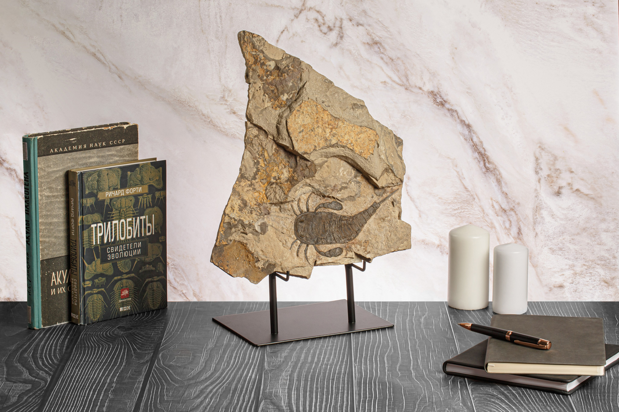 Профессиональная обработка натуральных камней, минералов и ископаемых | Студия SVITHART