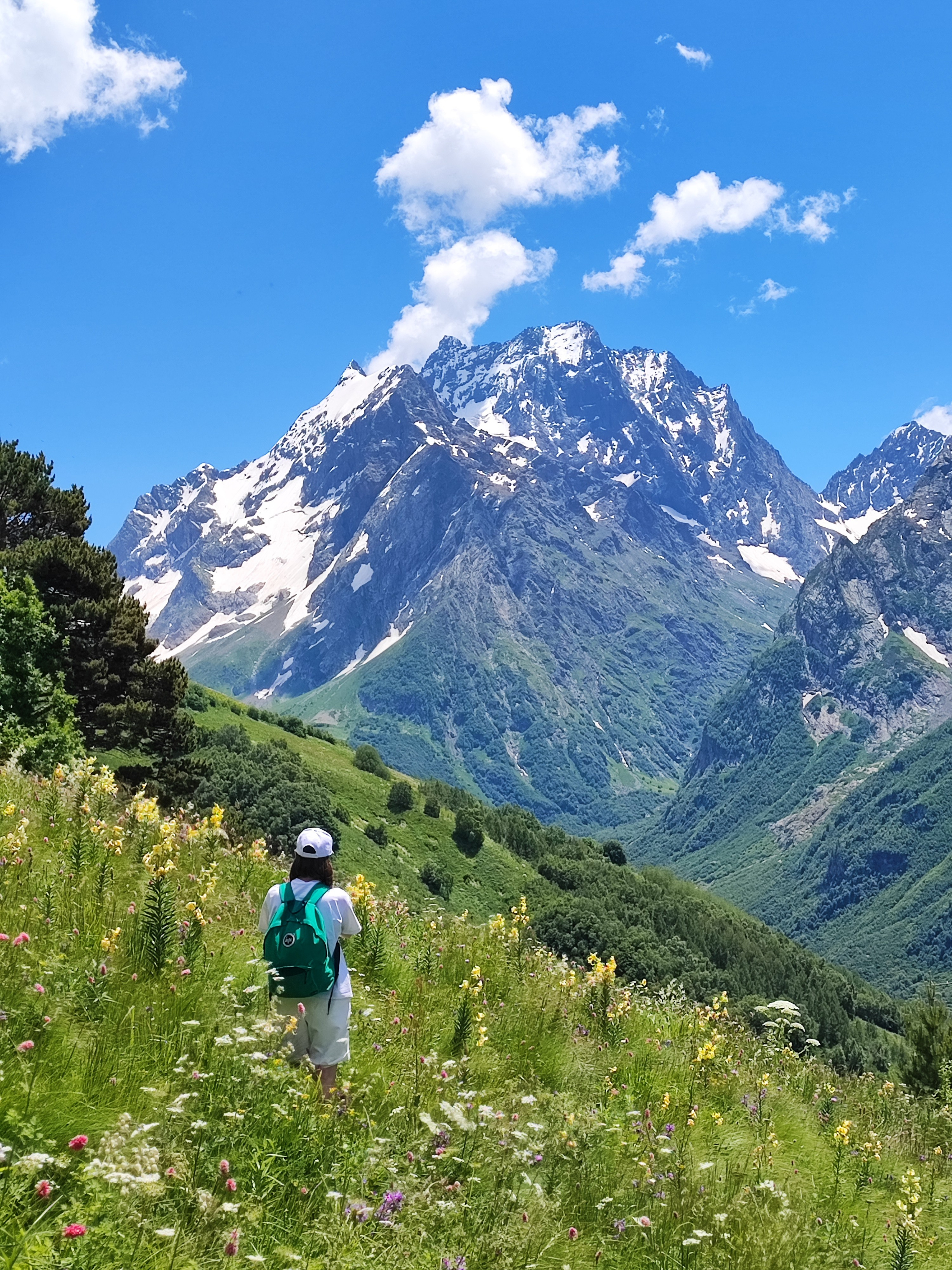 Намобилкус кавказский. Репортажный фотограф Алексей Пирязев