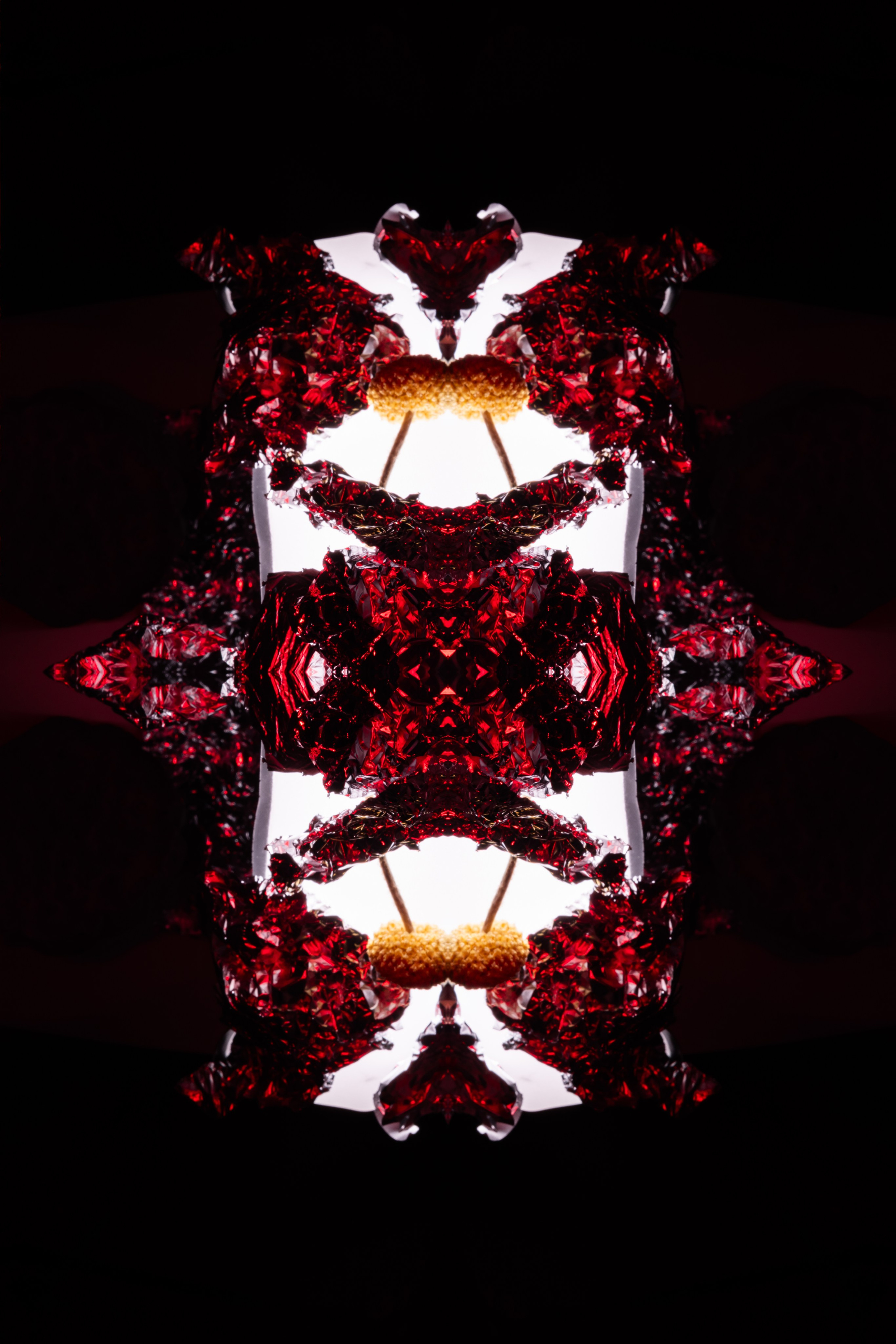 Ловушка для ума. Репортажный фотограф Алексей Пирязев