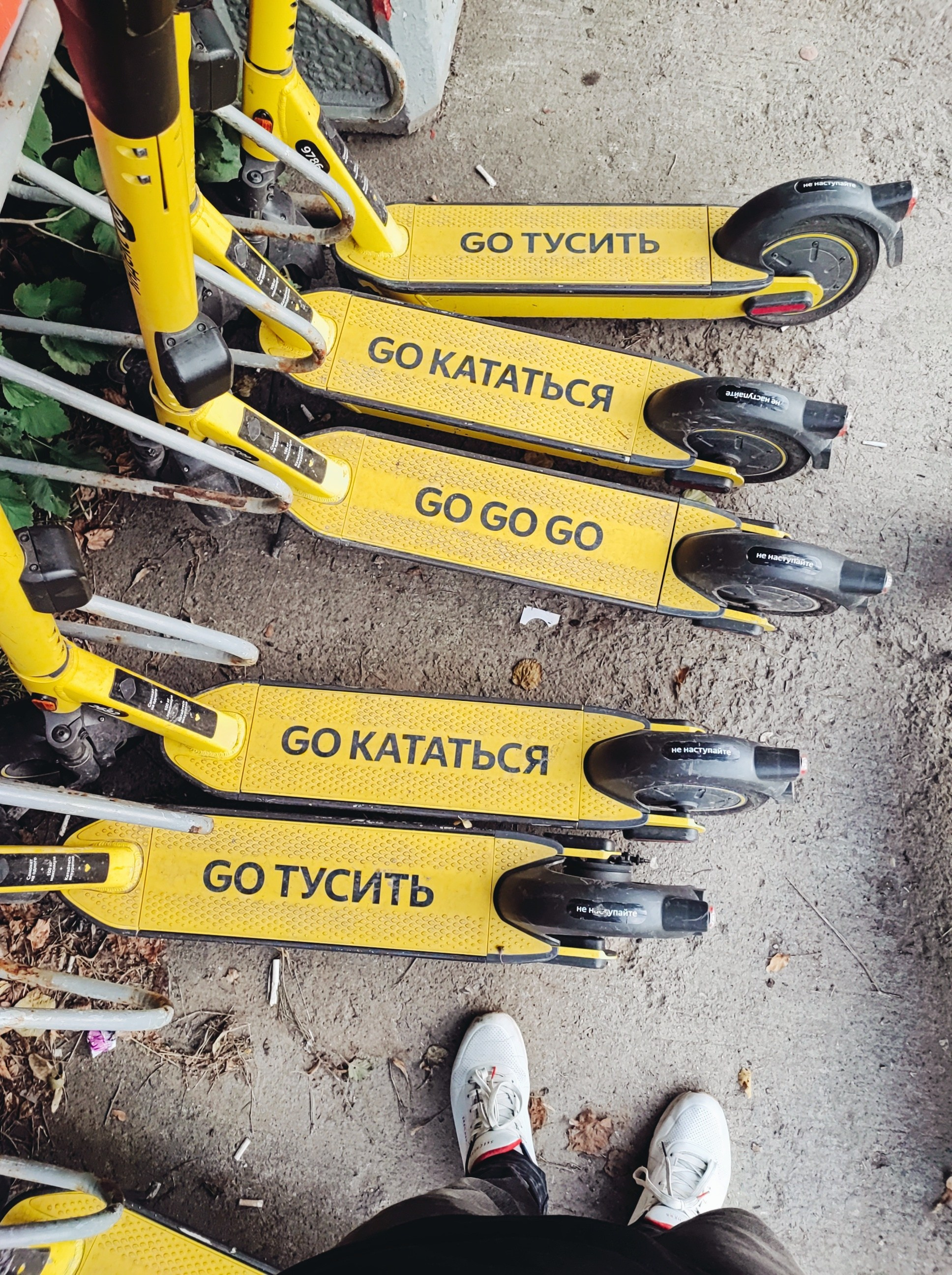 Намобилкус тульский. Репортажный фотограф Алексей Пирязев