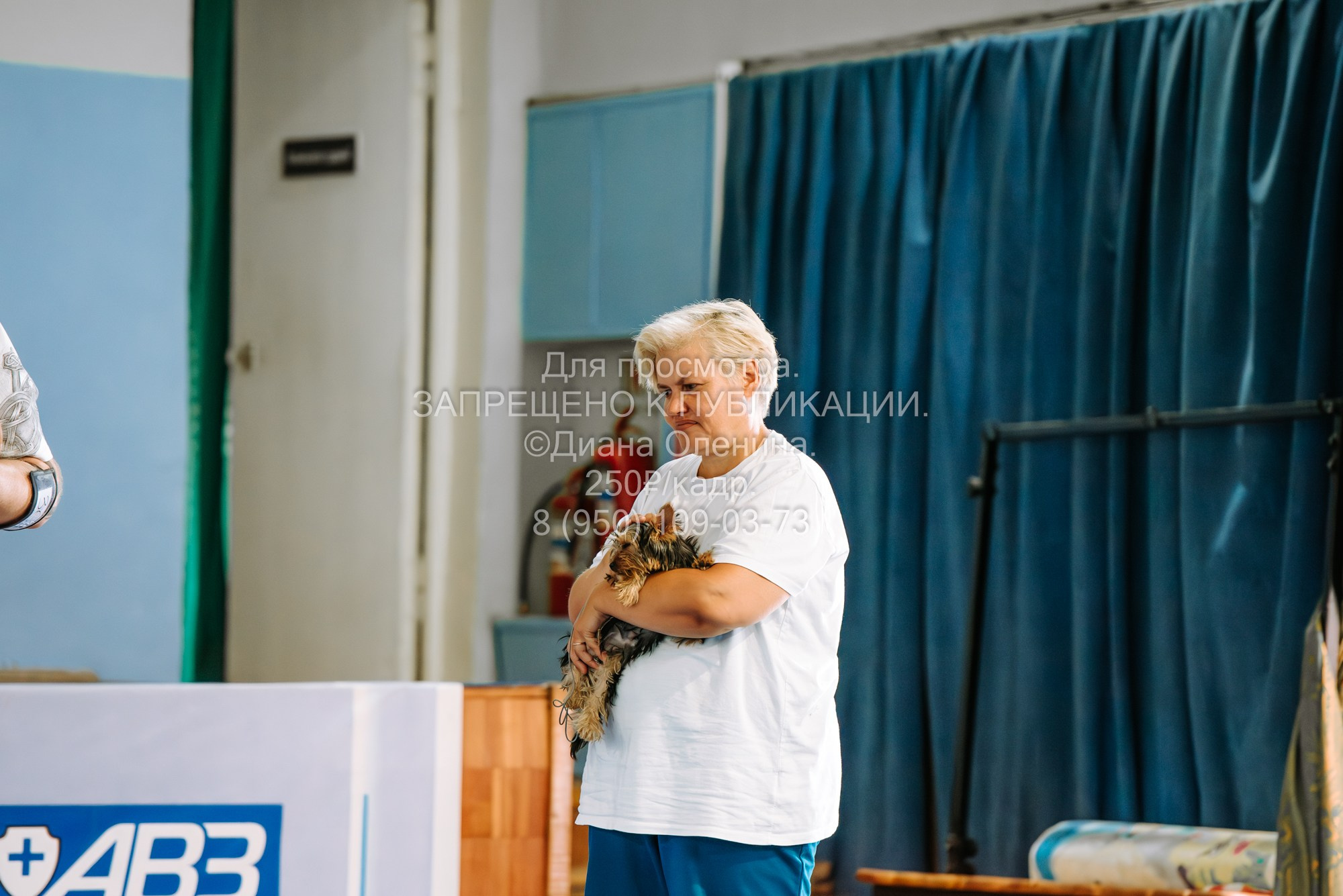 Национальная выставка собак всех пород ранга САС-IKU «Кубок Красноярск. Фотограф Диана Оленина Красноярск / Братск