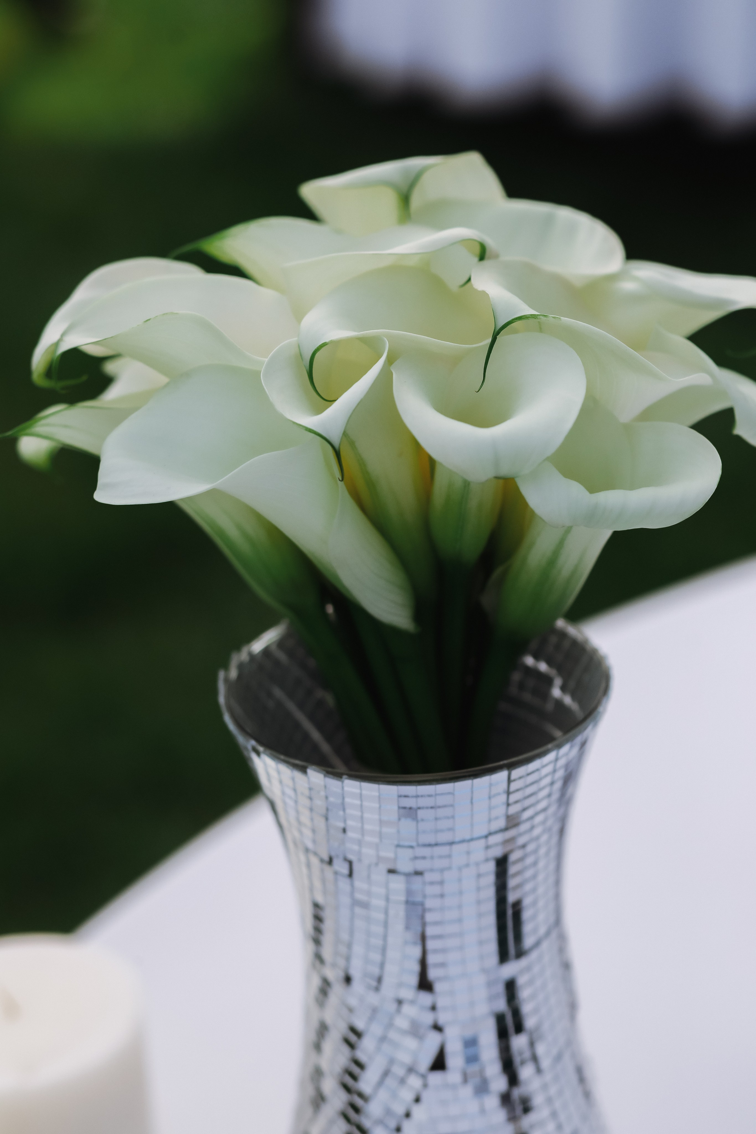 Свадебная фотосессия в агроусадьбе «VillaChiki»