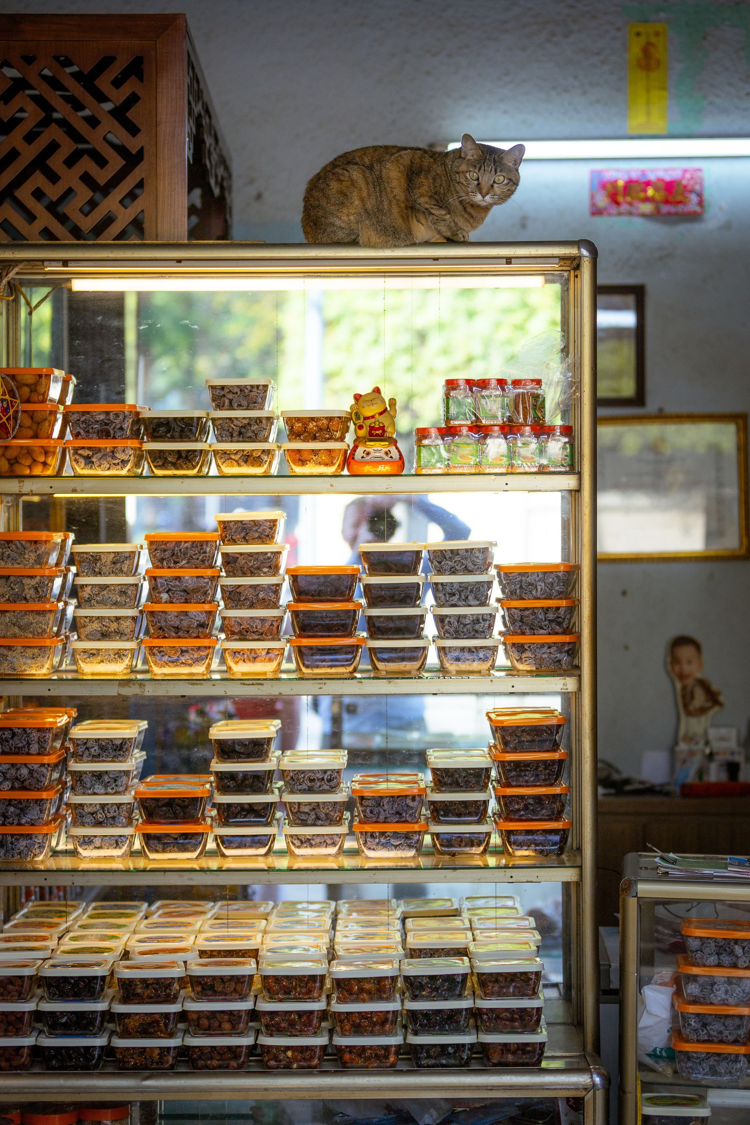 Вьетнам (зима 2025-2026). Фотограф Виноградов Константин