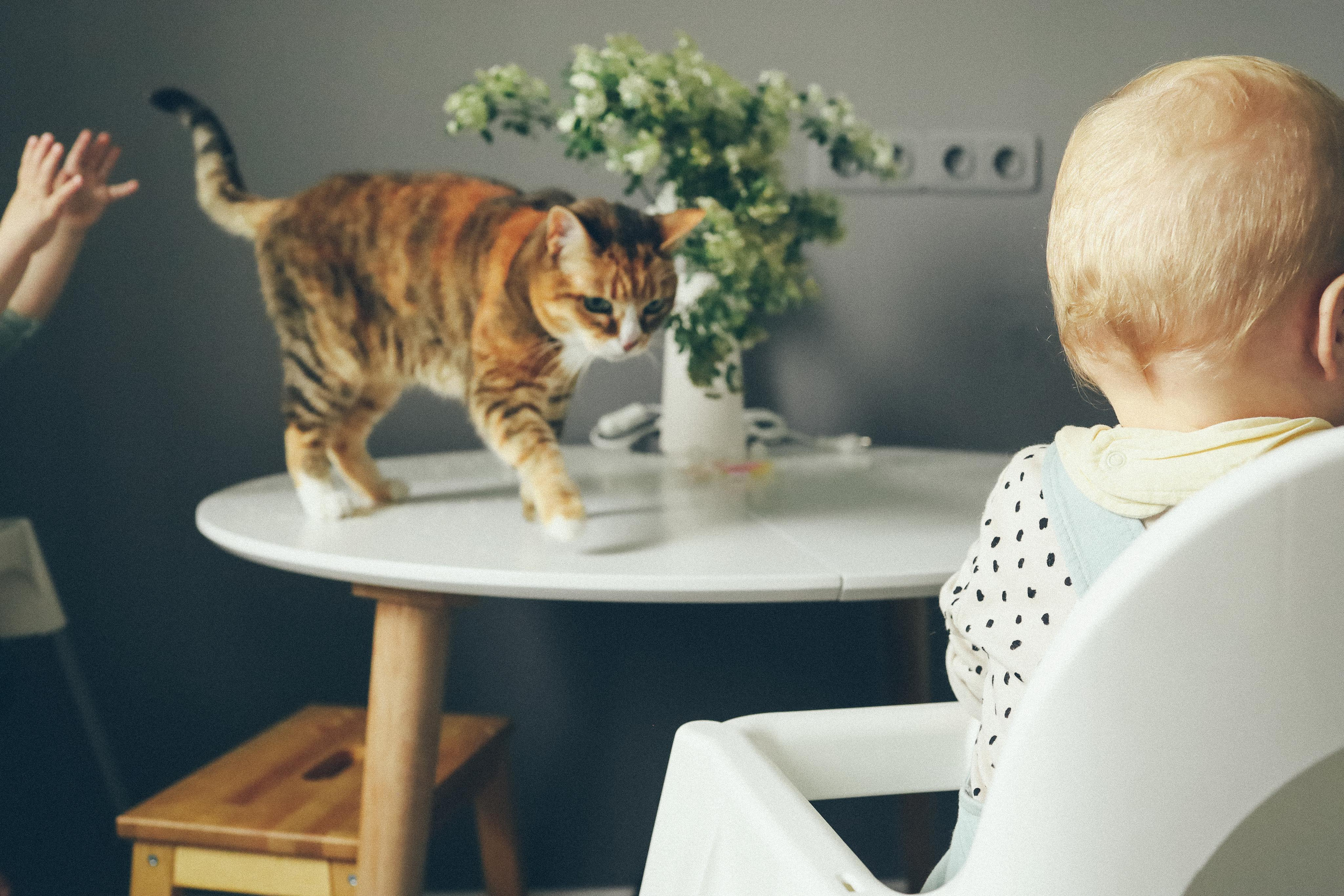 Домашняя съёмка для Кати и её тройняшек. Детский семейный фотограф в Москве Светлана Микадзе