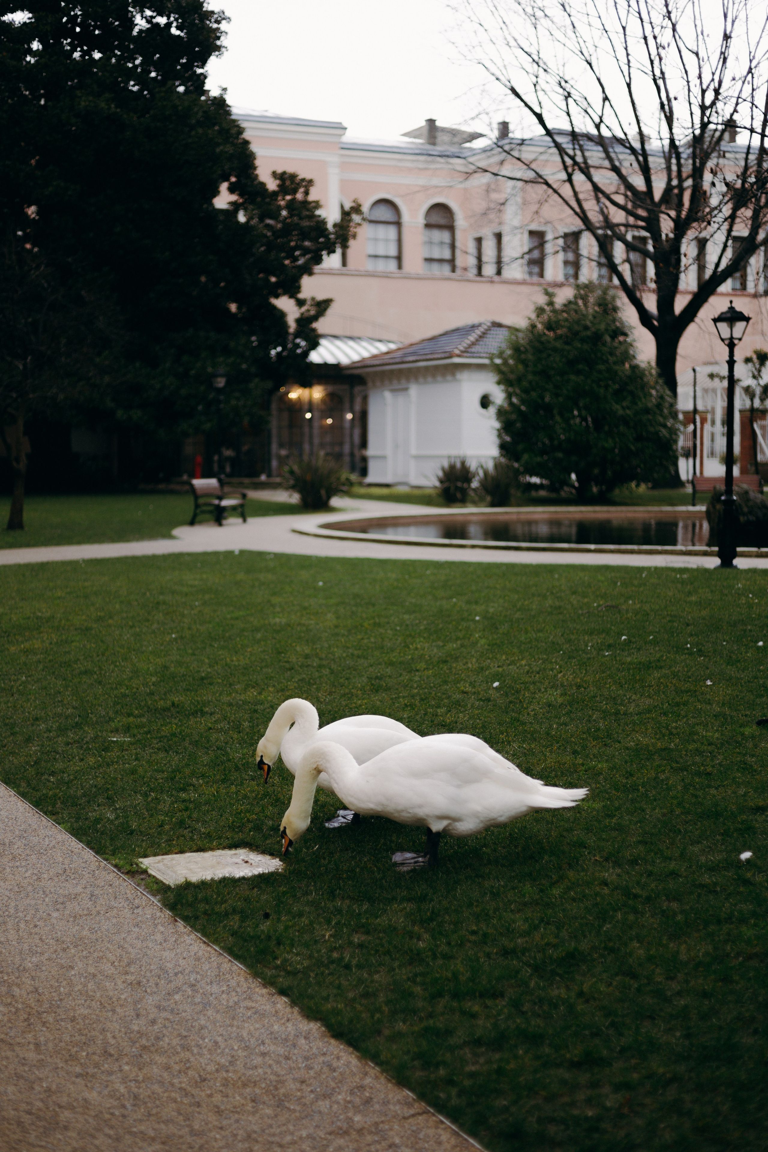 Стамбул. Профессиональный Фотограф во Владимире, в Москве и в Суздале — Полина Романычева