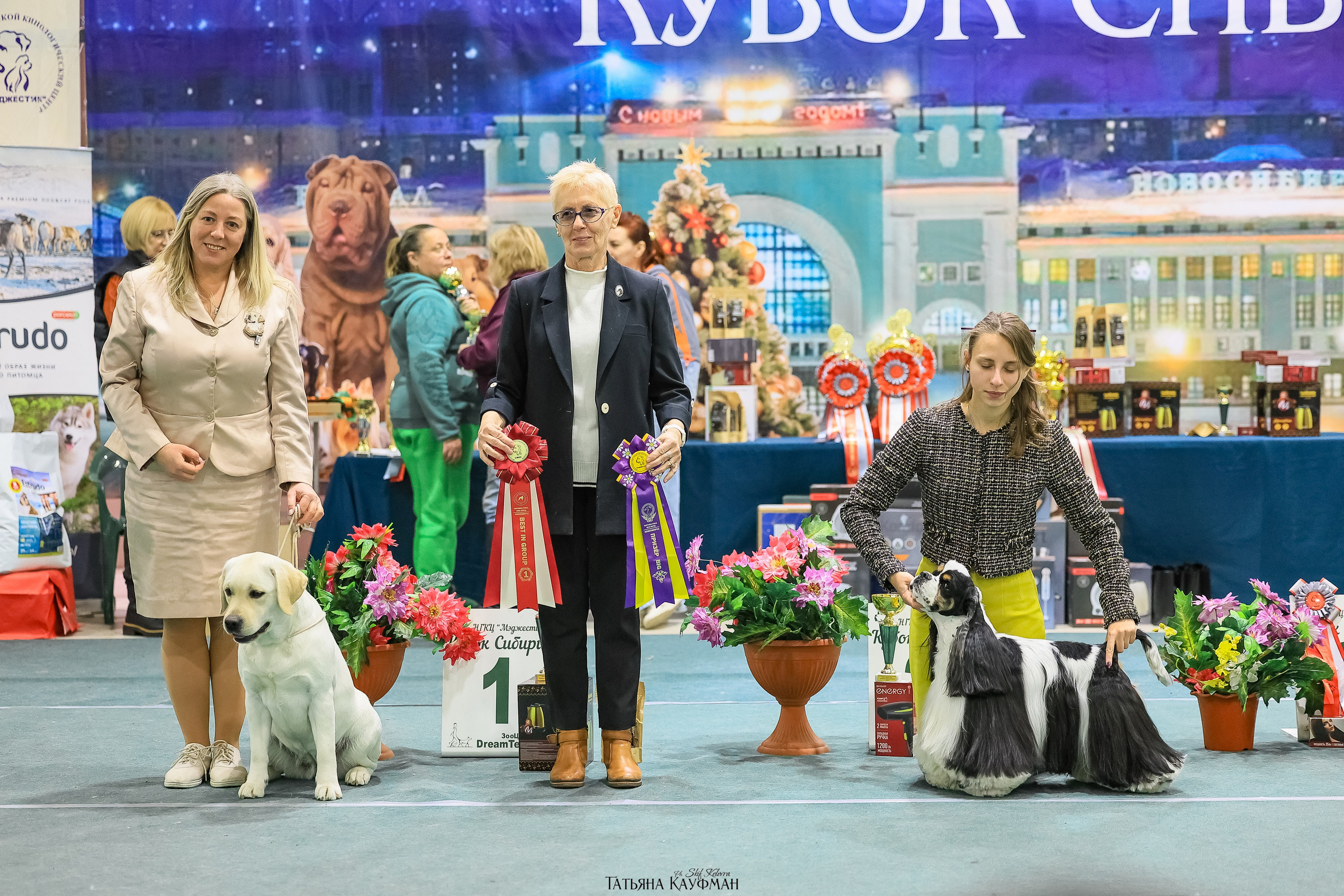 6-7.12.25 — 1-4 Национальные выставки собак в Новосибирске (2х рейтинговые). Фотограф Анималист из Новосибирска Татьяна Кауфман