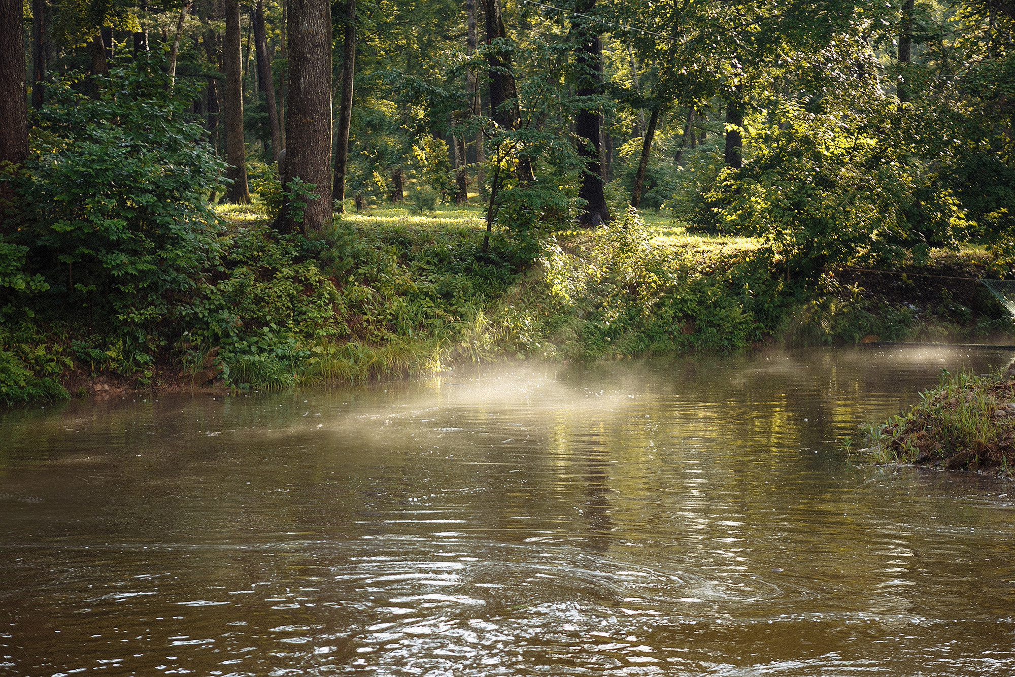 Катя и Мирали 9.07.22. Свадебный фотограф Владивосток Алина Гевондова