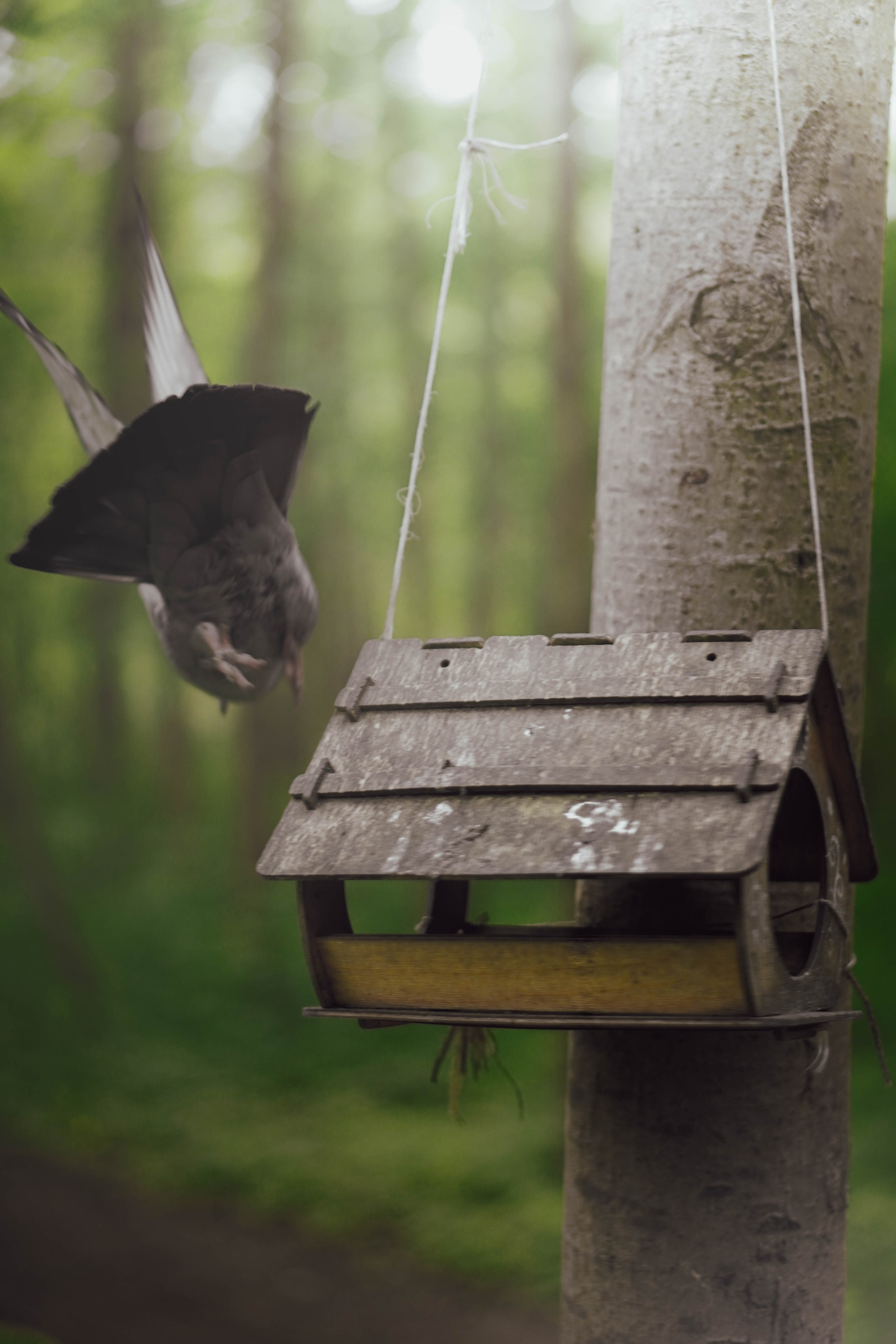 Уличная съёмка (2). Видео и Фото