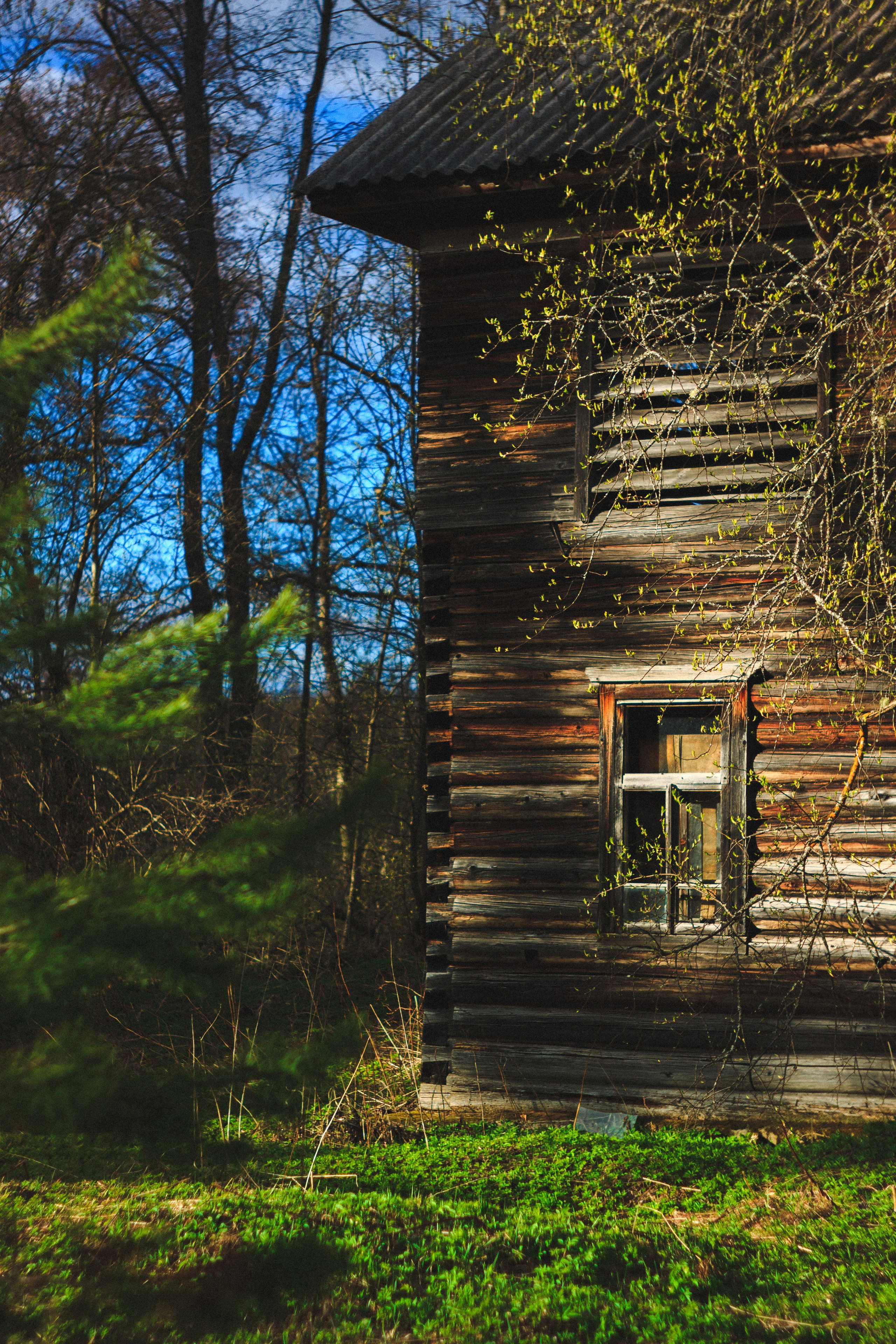 Деревня. Den Mirov — Photographer, Musician
