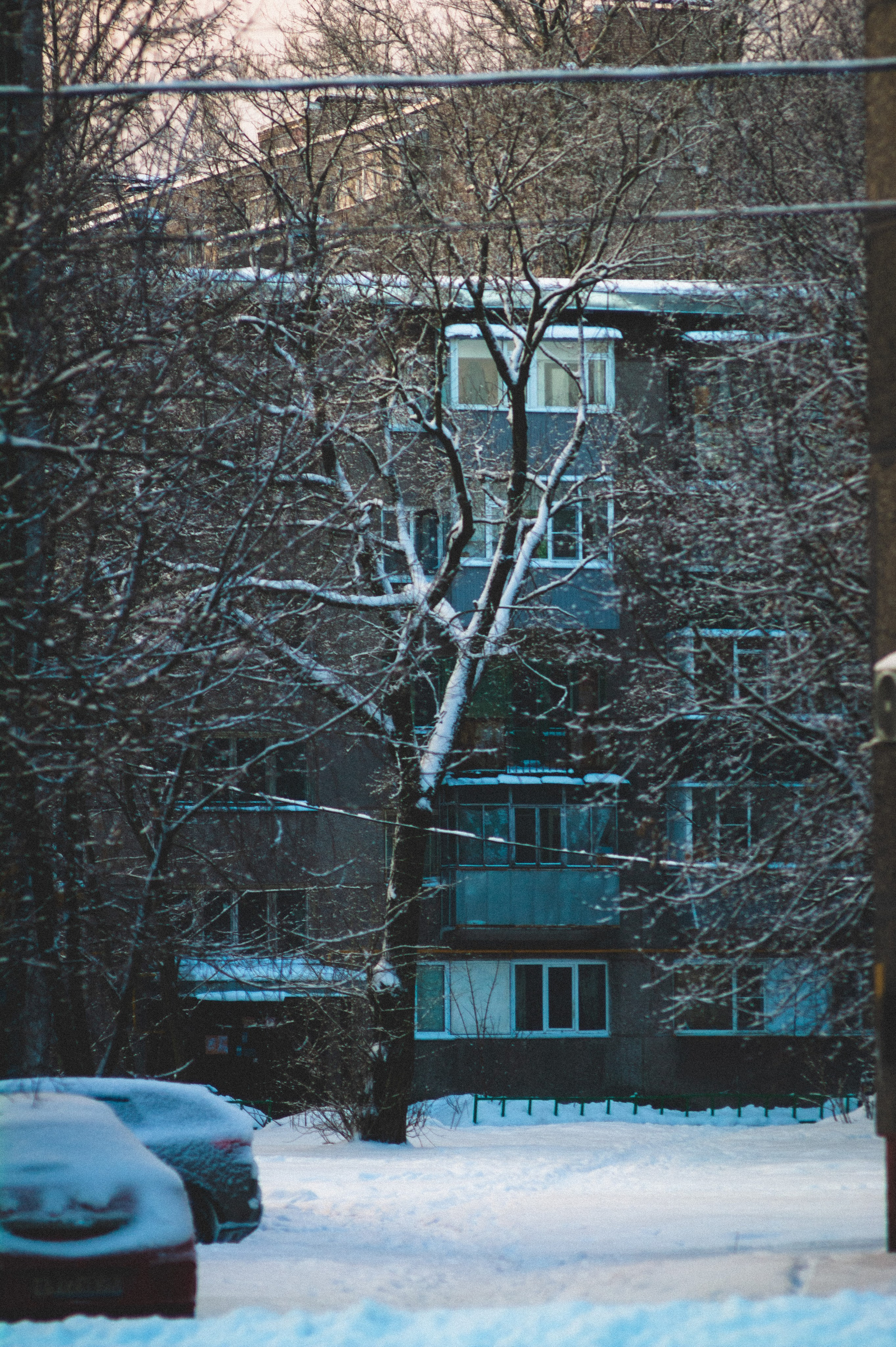 Cold. Soft. Den Mirov — Photographer, Musician