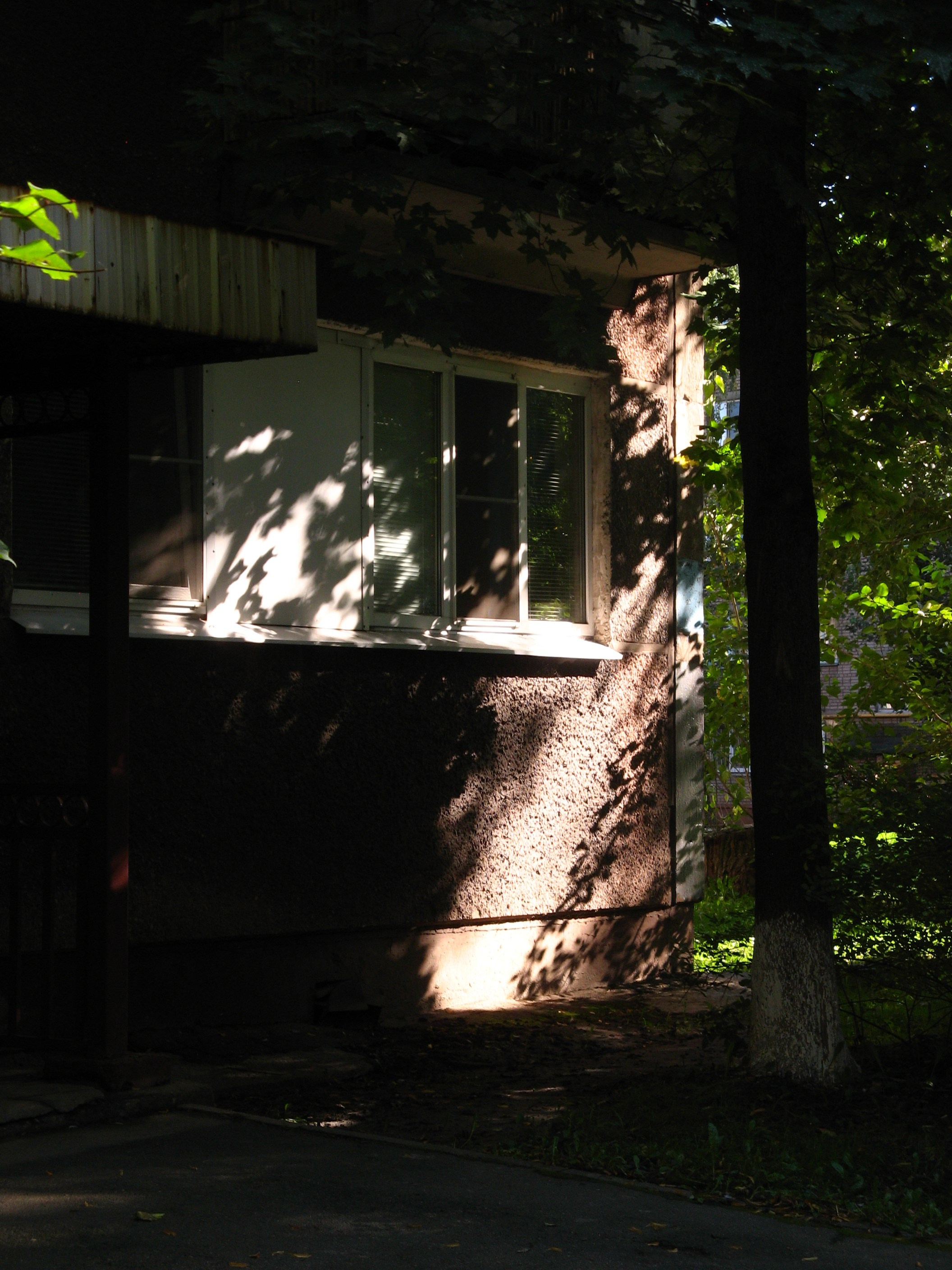 Сентябрь 2025. Den Mirov — Фотограф, Музыкант